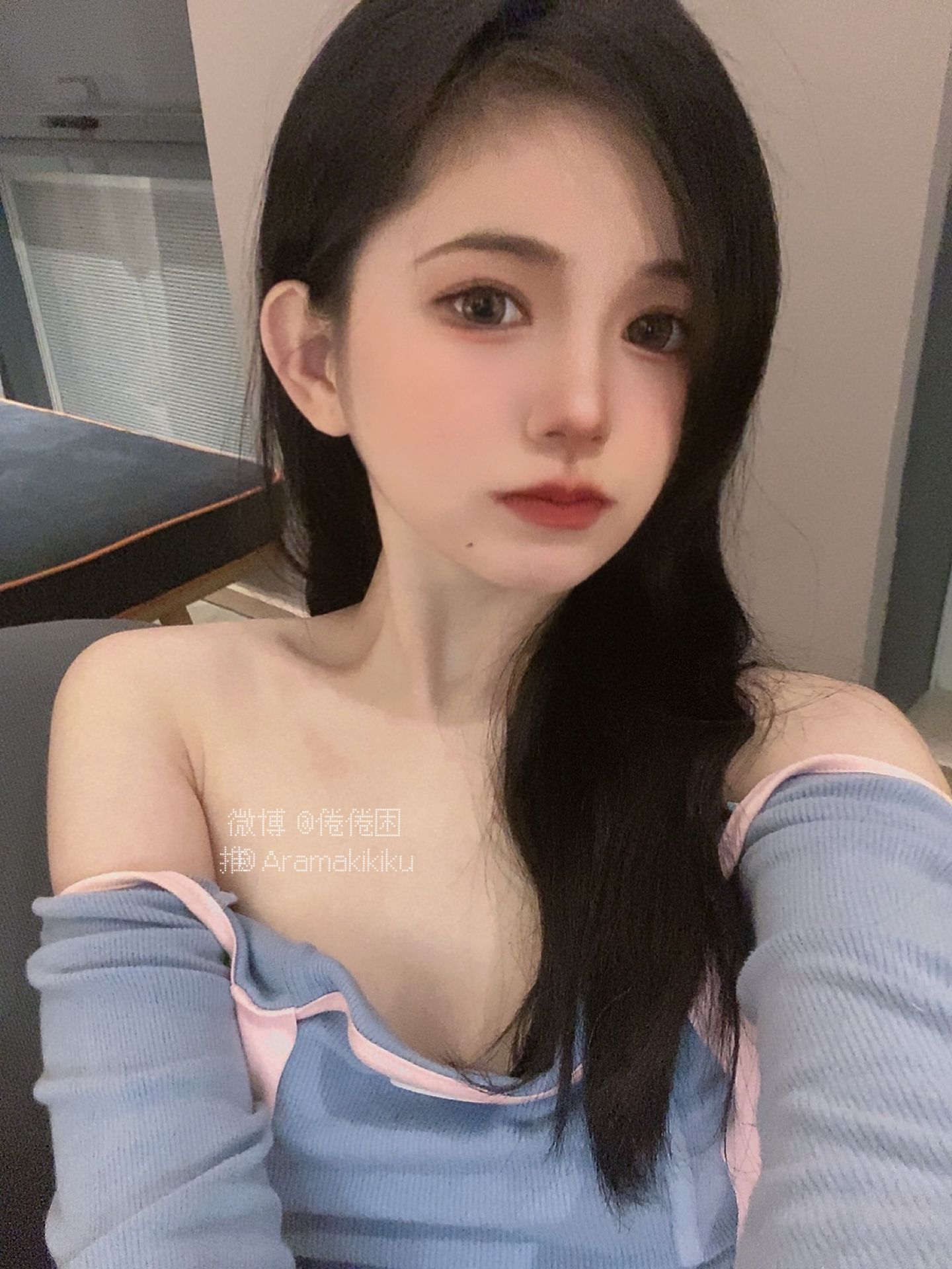 倦倦喵 – 蓝莓皮肤 [32P] 插图1
