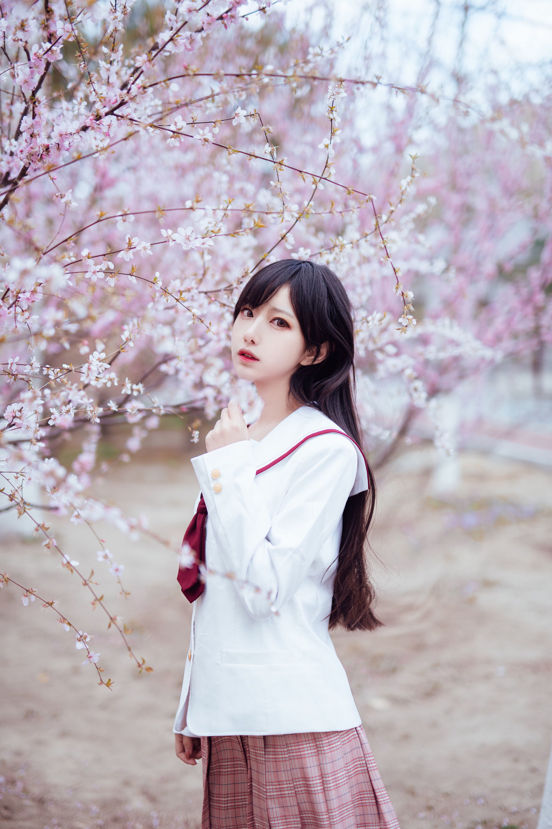 Shika小鹿鹿 – 樱花 [13P] 插图1