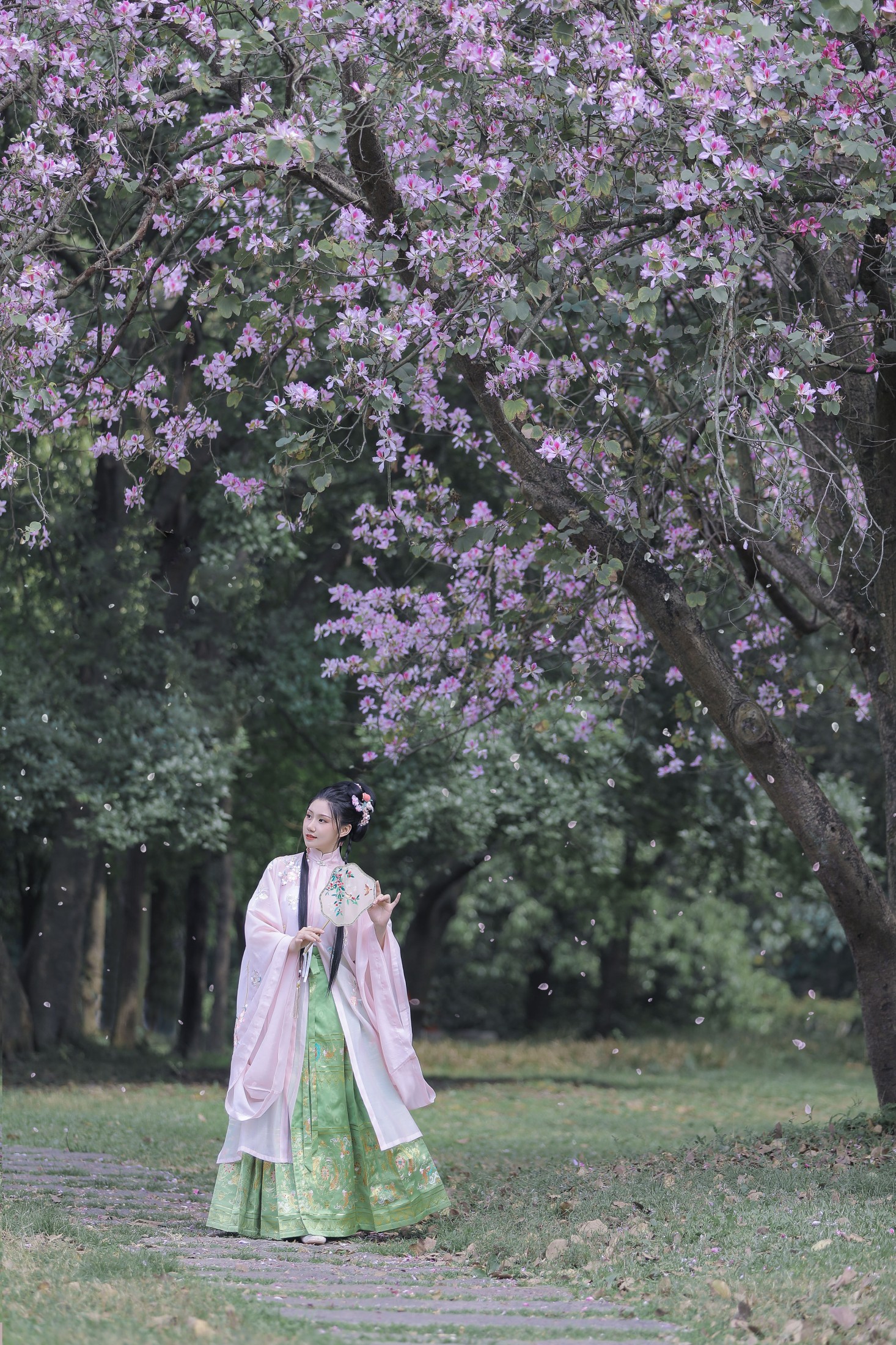 木木 – 《紫荆枝》[23P] 插图3