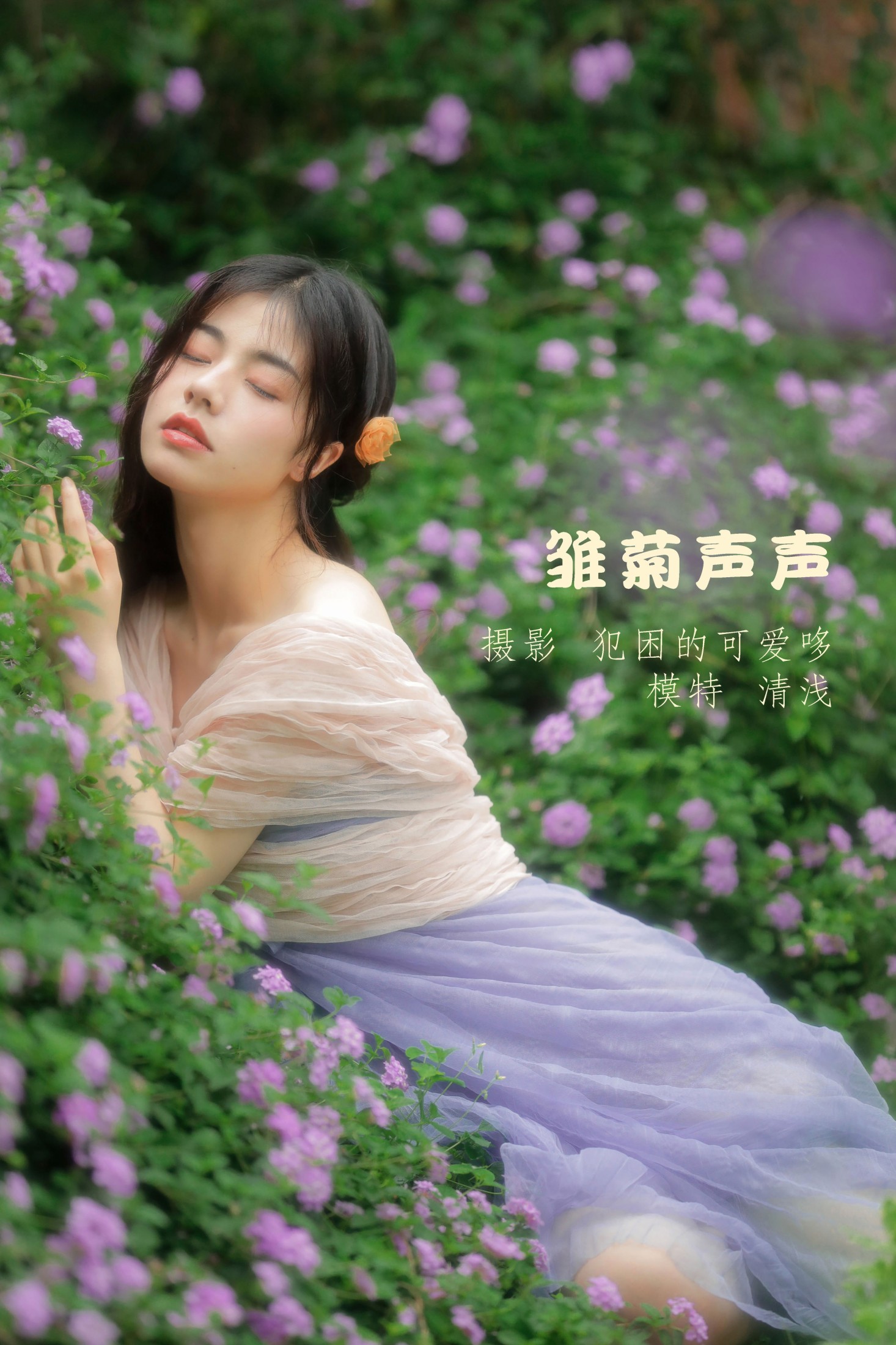 清浅IIL – 《雏菊声声》[25P] 插图1
