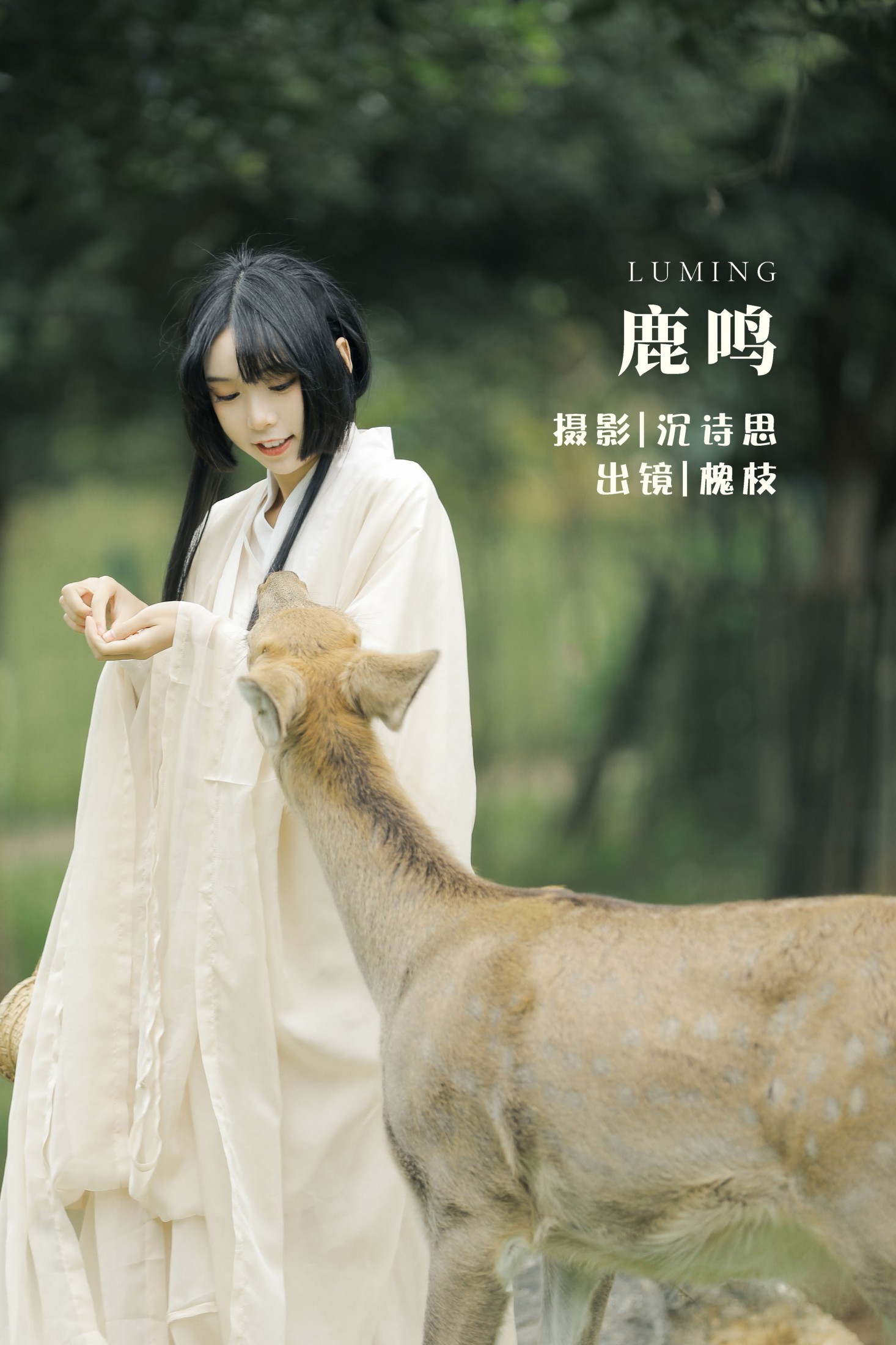 槐枝- – 《鹿鸣》[27P] 插图1