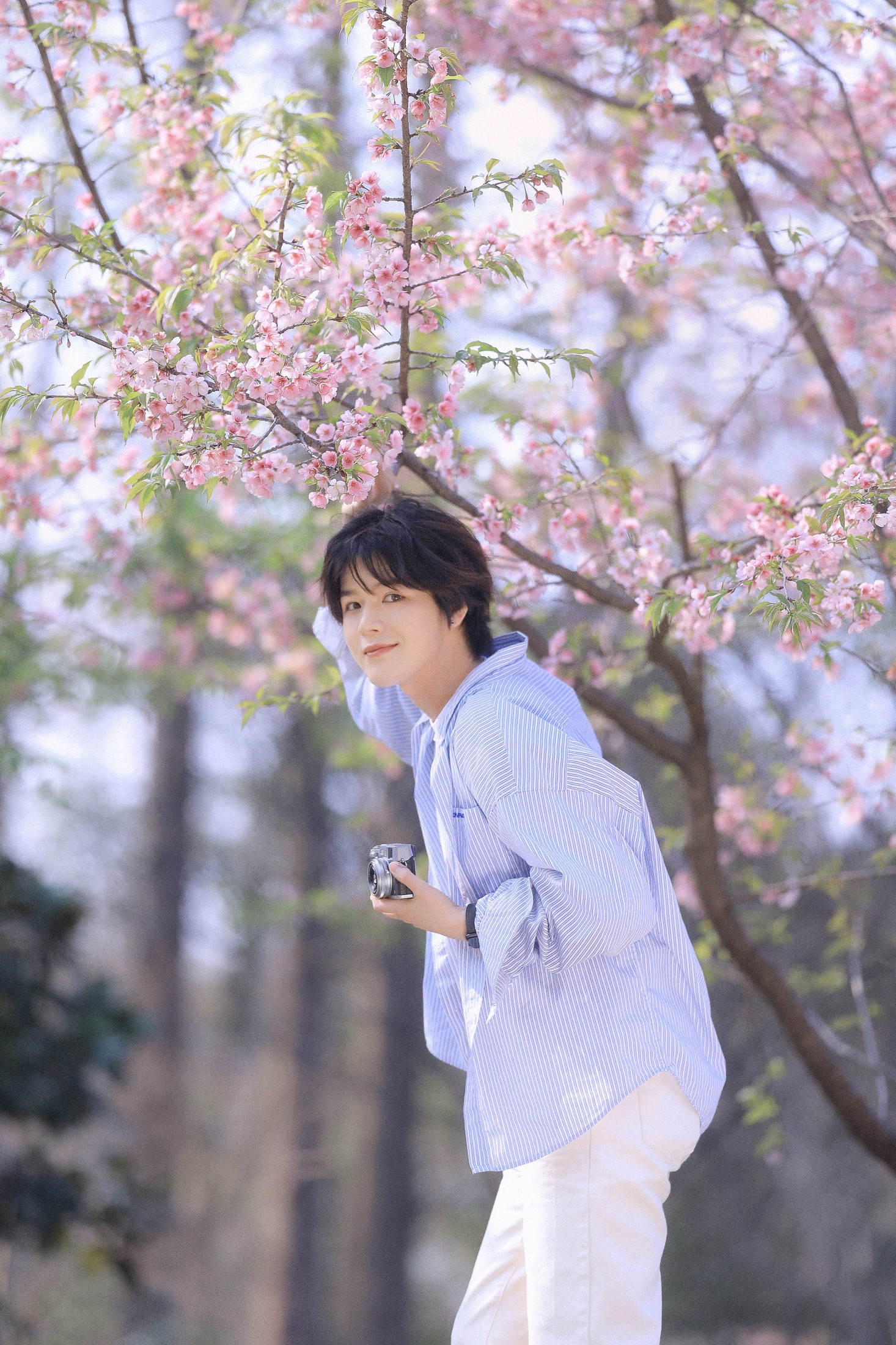 李宇轩Yashon – 《樱花少年》[23P] 插图5