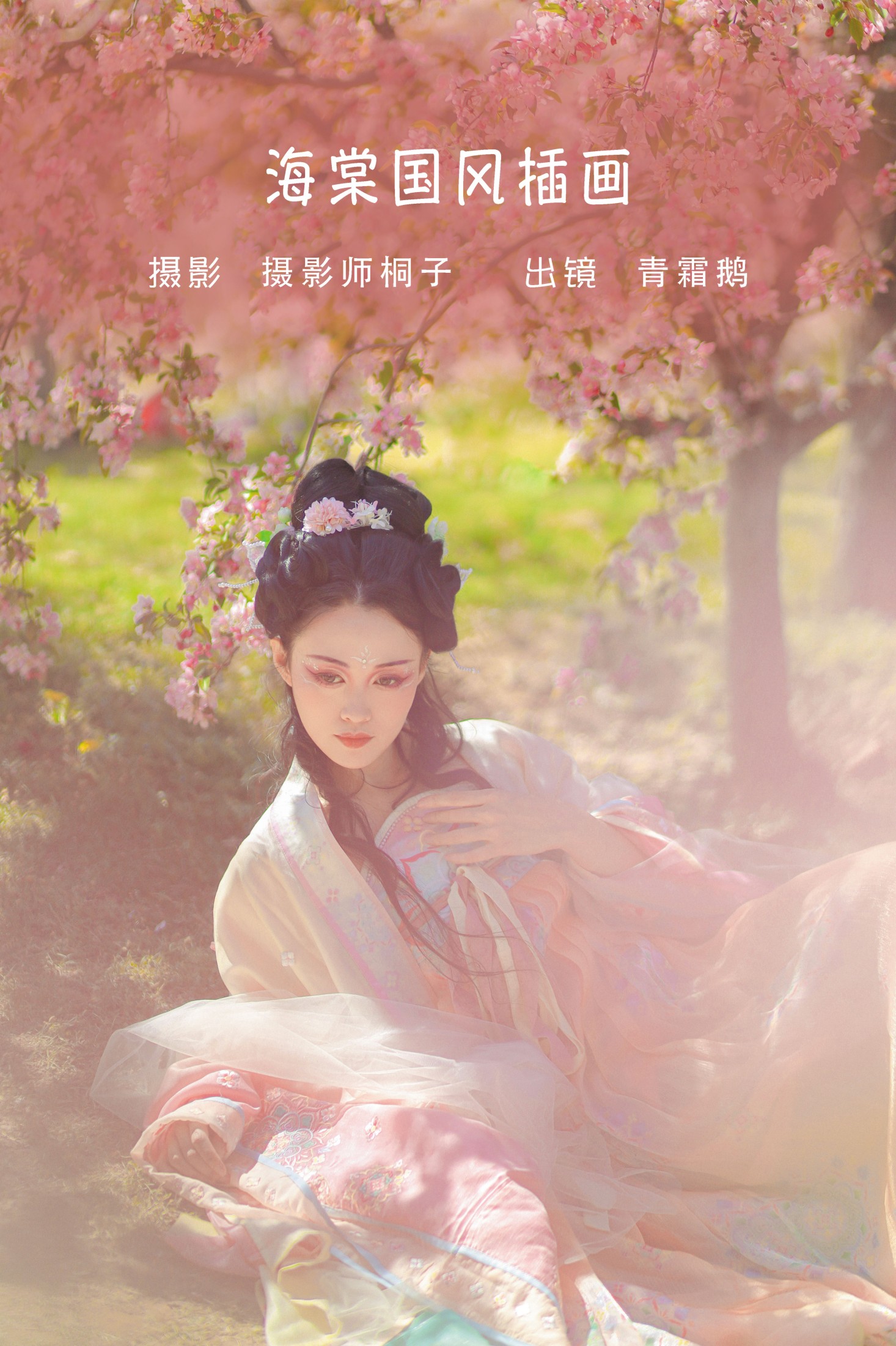 青霜鹅 – 《海棠国风插画》[22P] 插图1