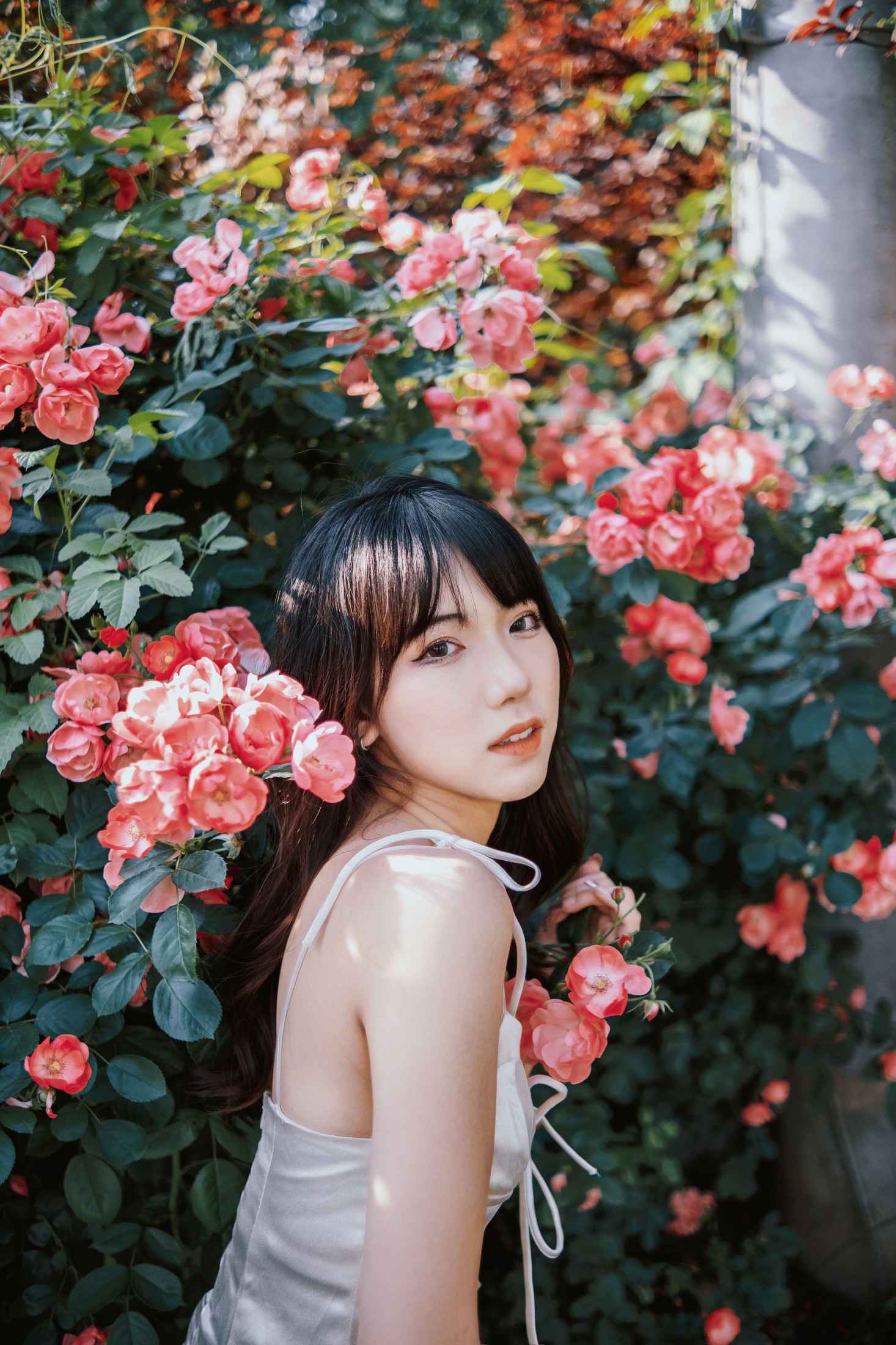 依依 – 《蔷薇花下》[25P] 插图4