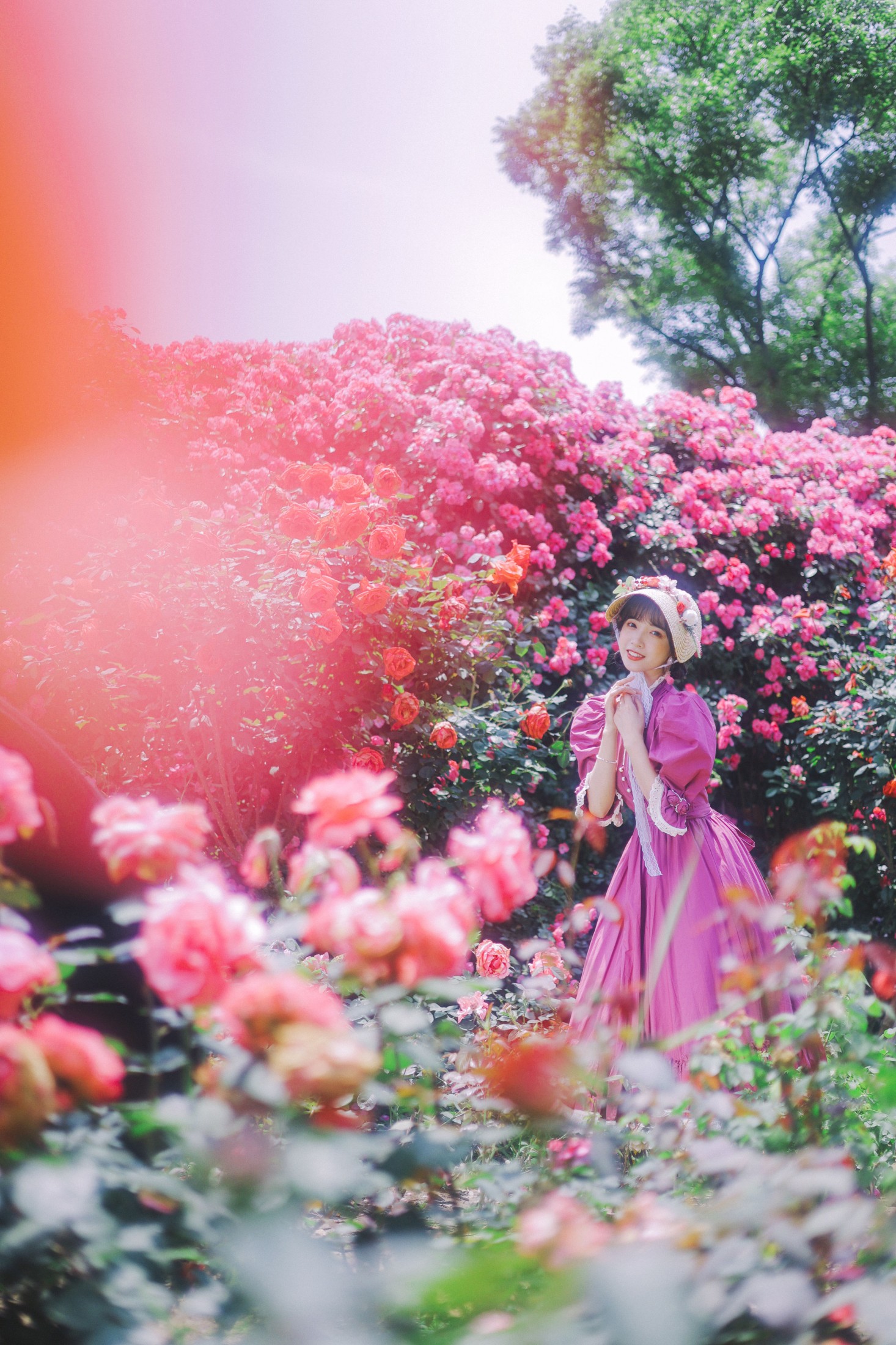 一只阿梦崽 – 《少女的裙摆》[42P] 插图5