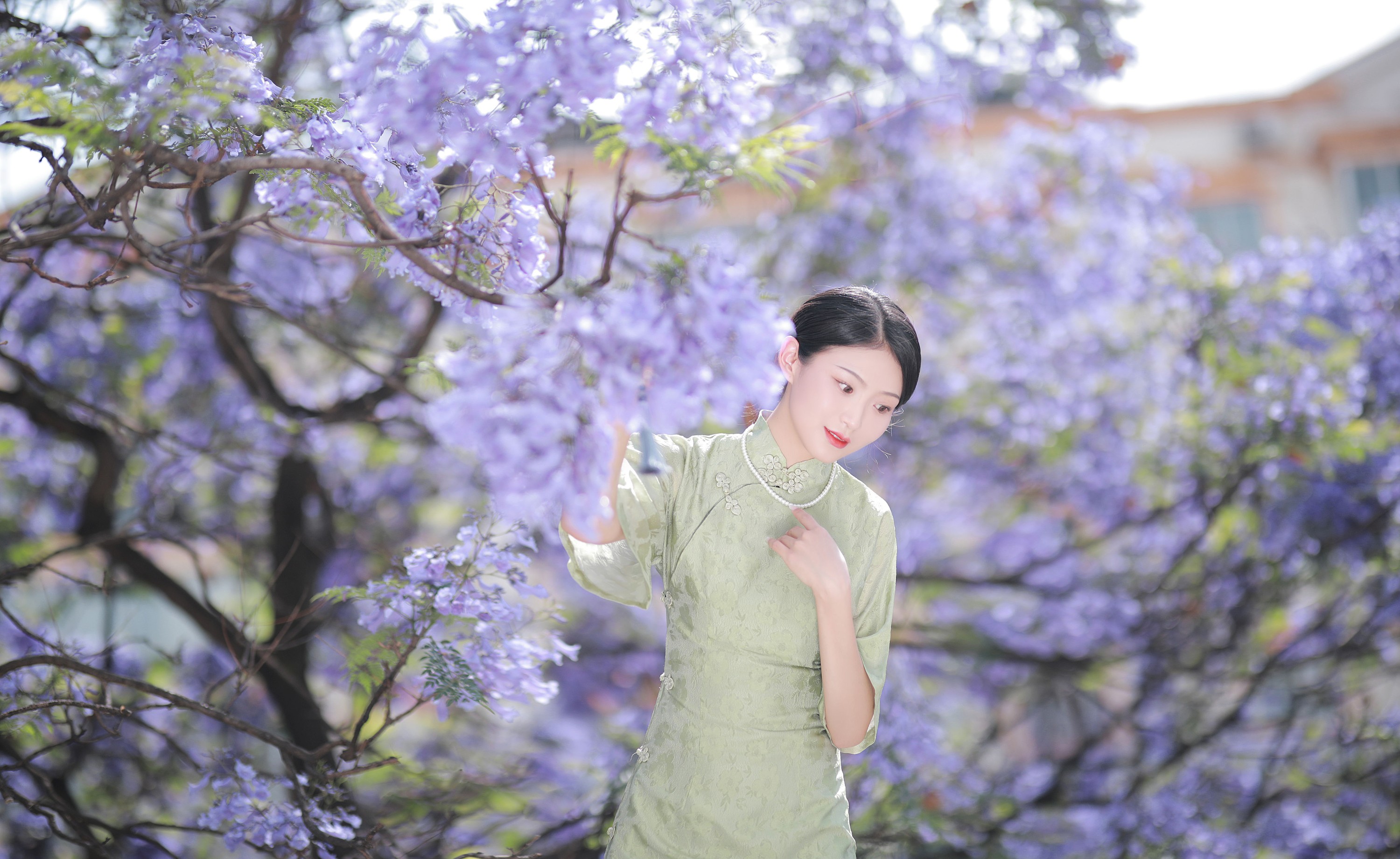 nya酱的铃铛铛 – 《蓝花楹》[24P] 插图5
