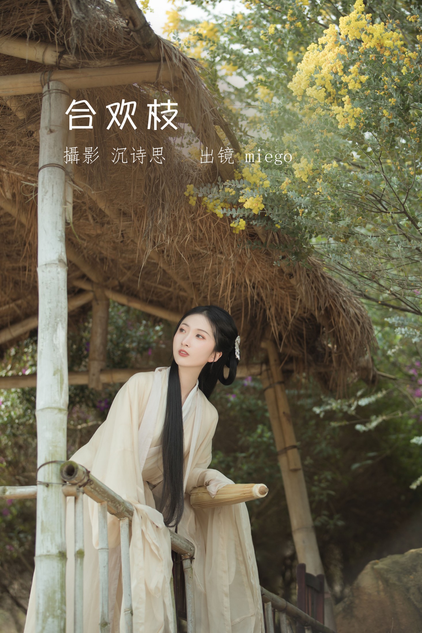 mininekoo – 《合欢枝》[22P] 插图1