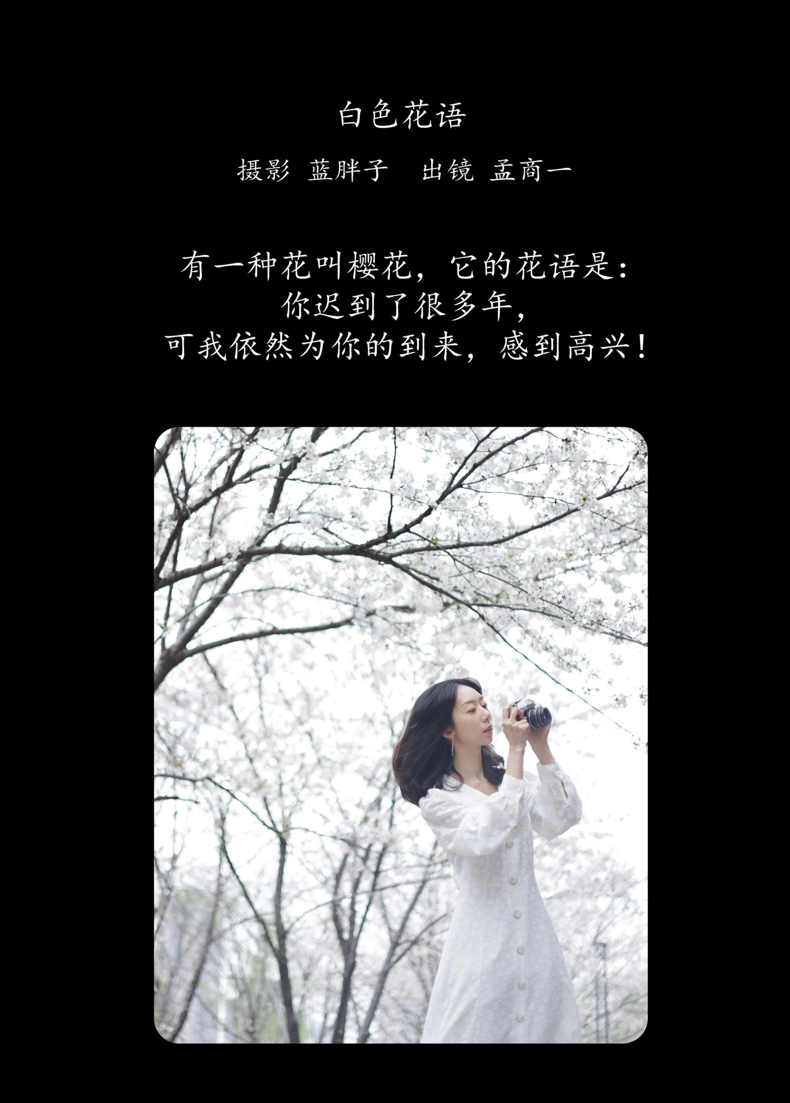 孟商一 – 《白色花语》[26P] 插图2