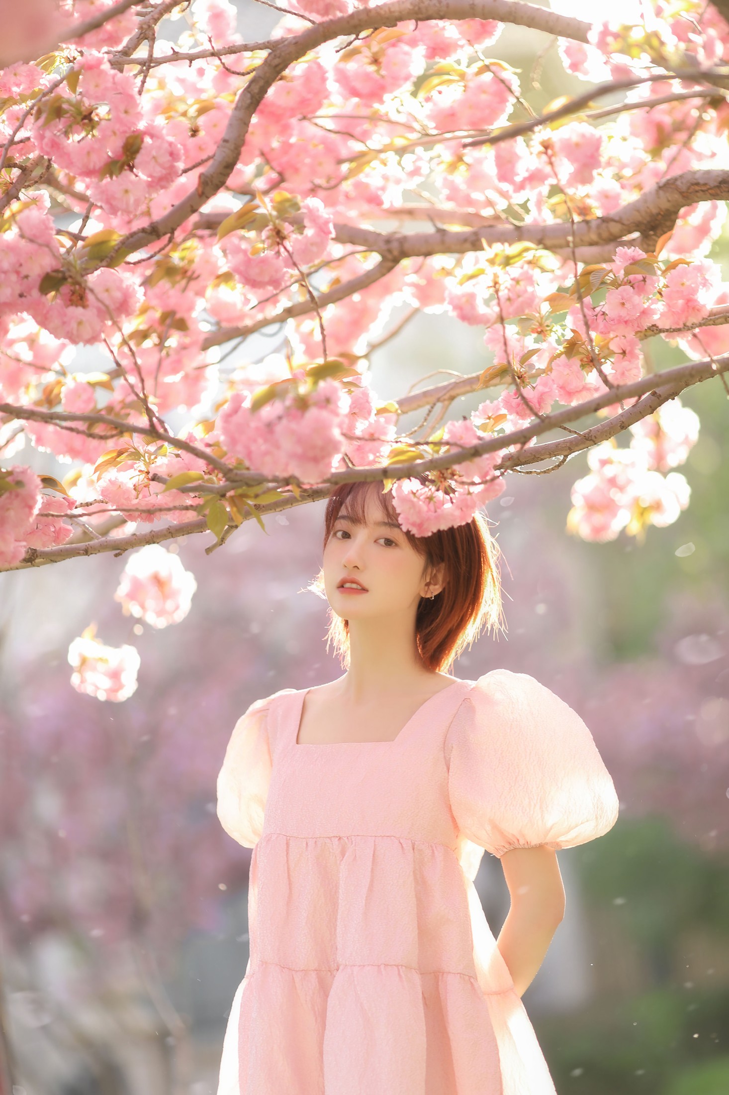 程凡 – 《樱落》[21P] 插图3