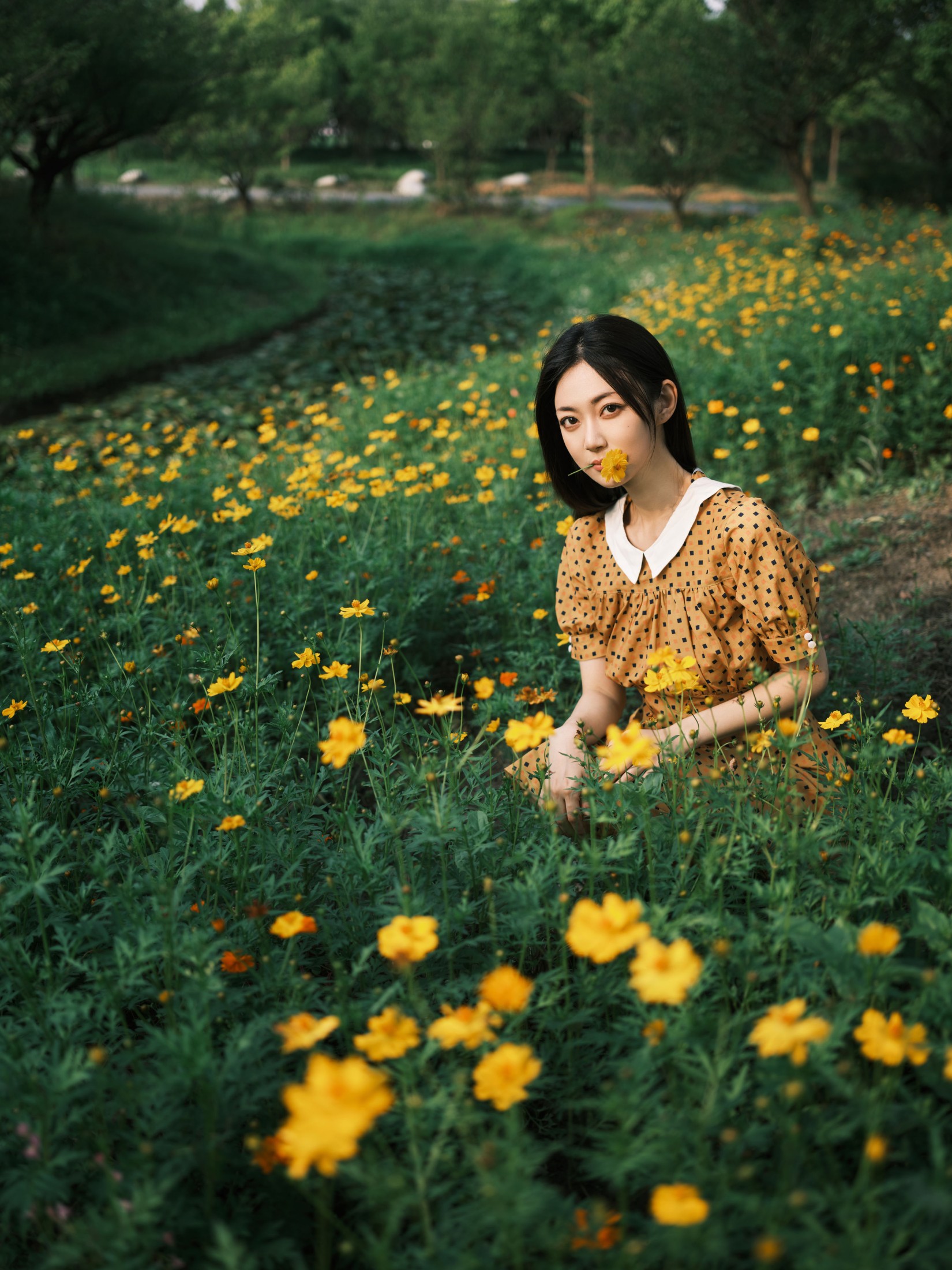 飞鸟咕咕- – 《硫华菊&柳叶马鞭草-是夏天的味道呀！》[44P] 插图5