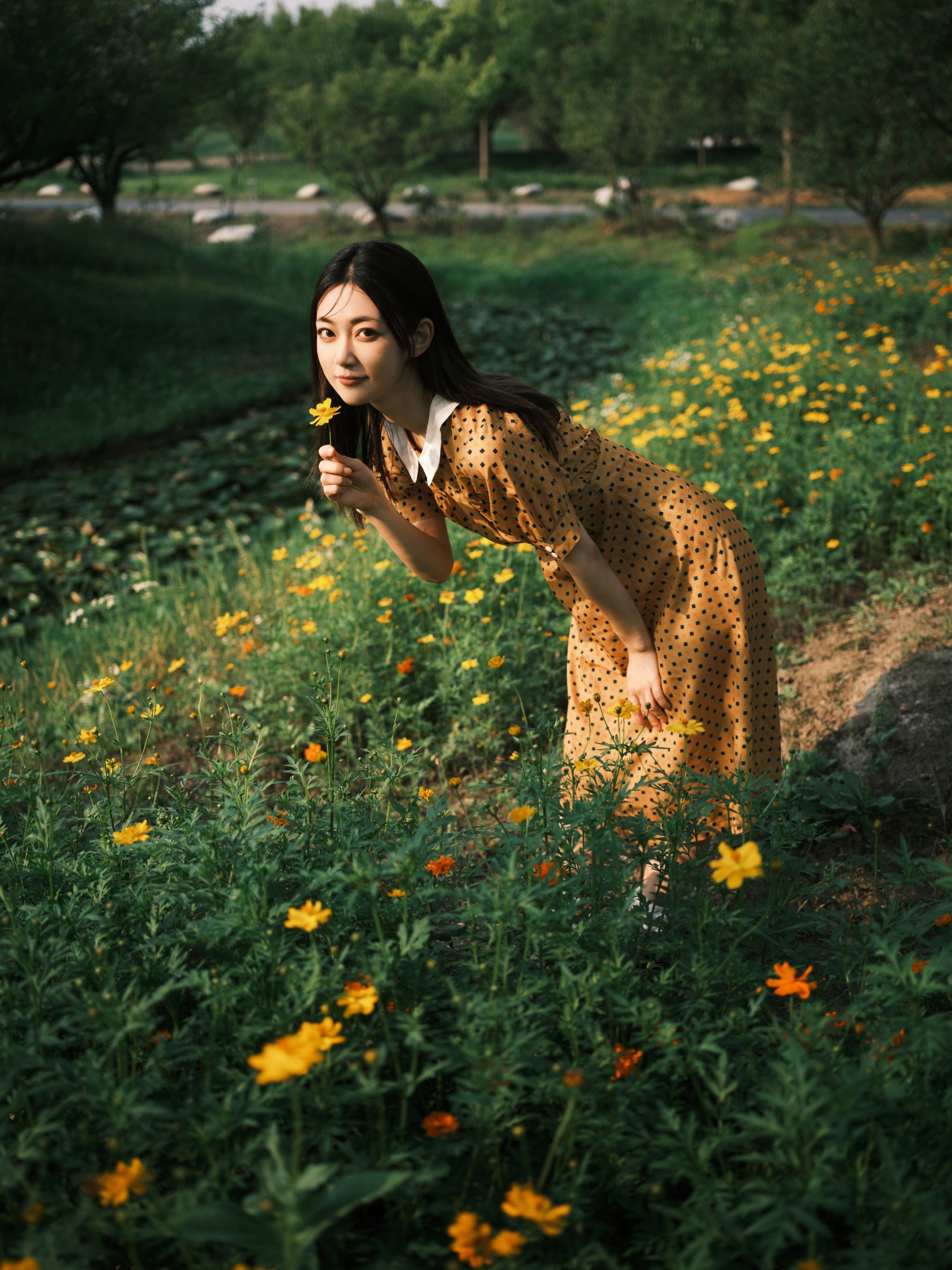 飞鸟咕咕- – 《硫华菊&柳叶马鞭草-是夏天的味道呀！》[44P] 插图3