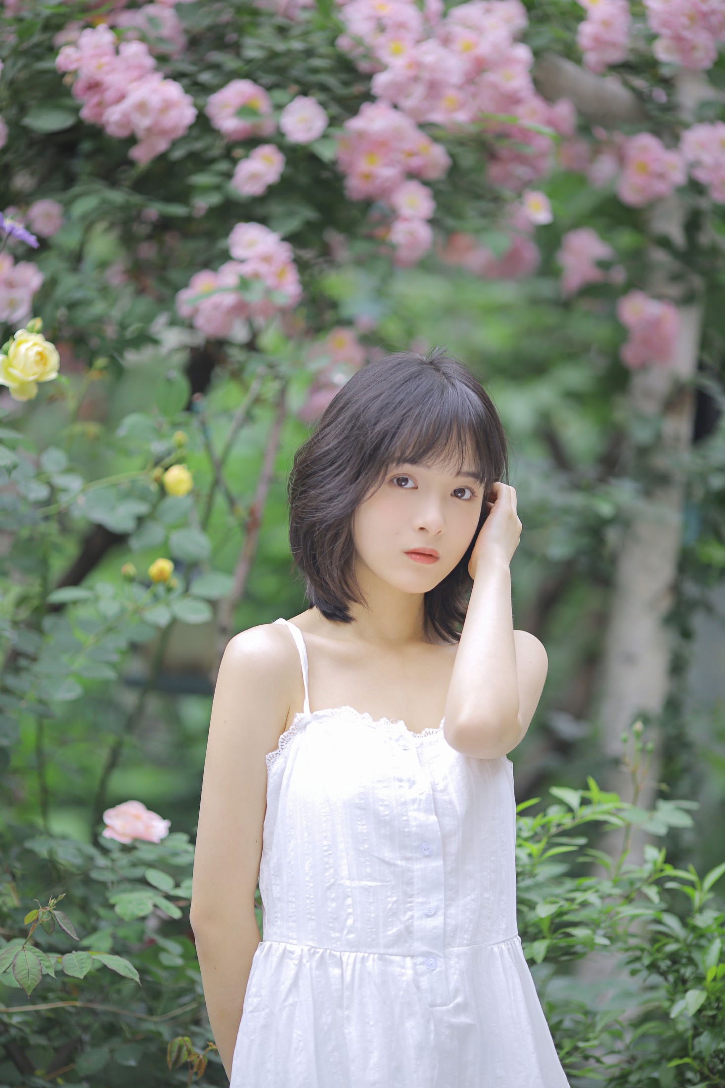 甜酒八號 – 《花期已致 美好如初》[30P] 插图5