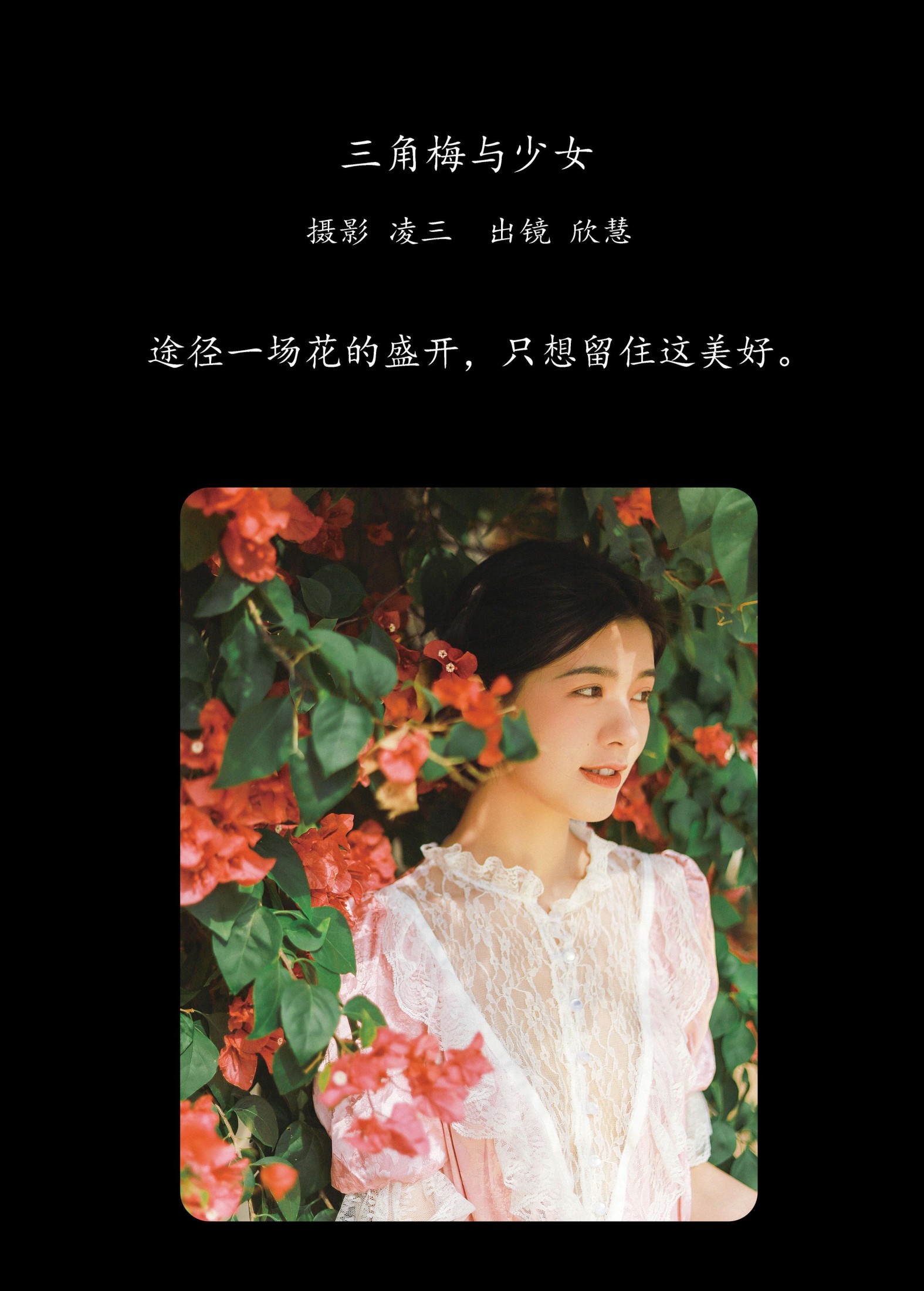 欣慧 – 《三角梅与少女》[21P] 插图2