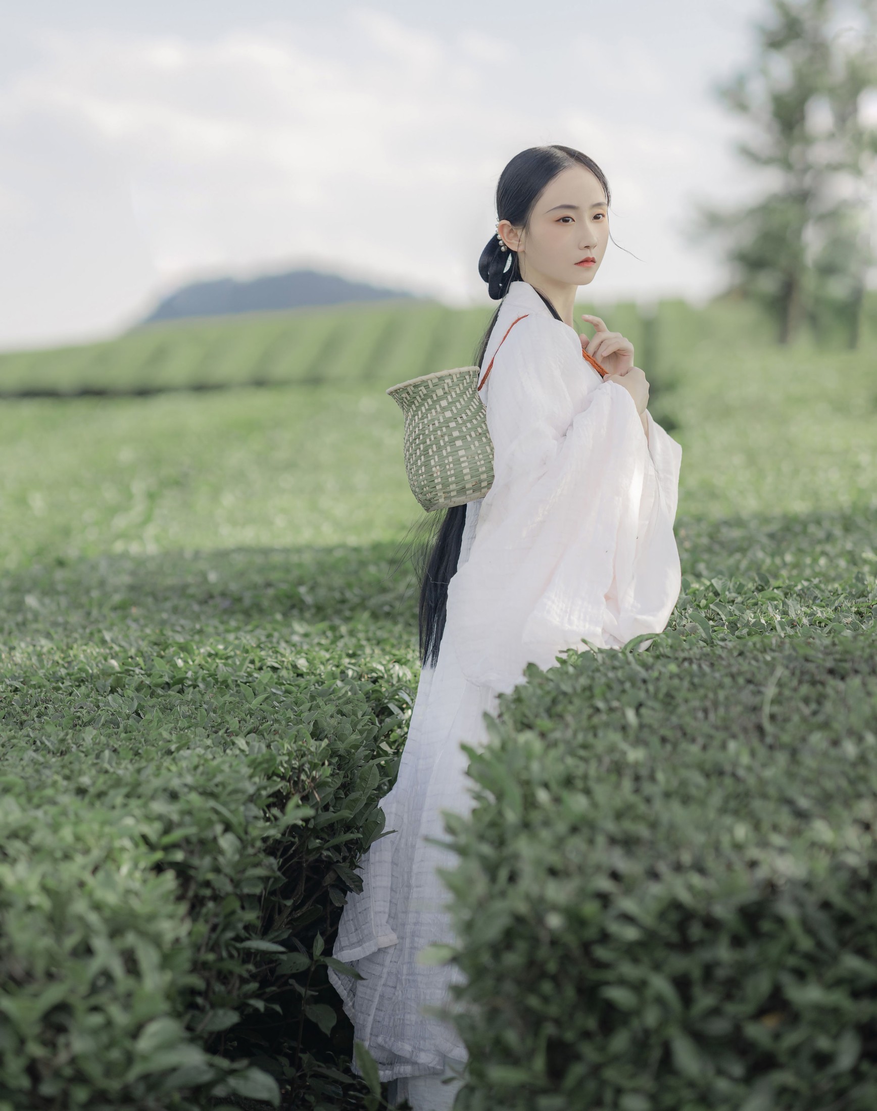 灿暖暖暖 – 《衣袖染茶香》[20P] 插图3