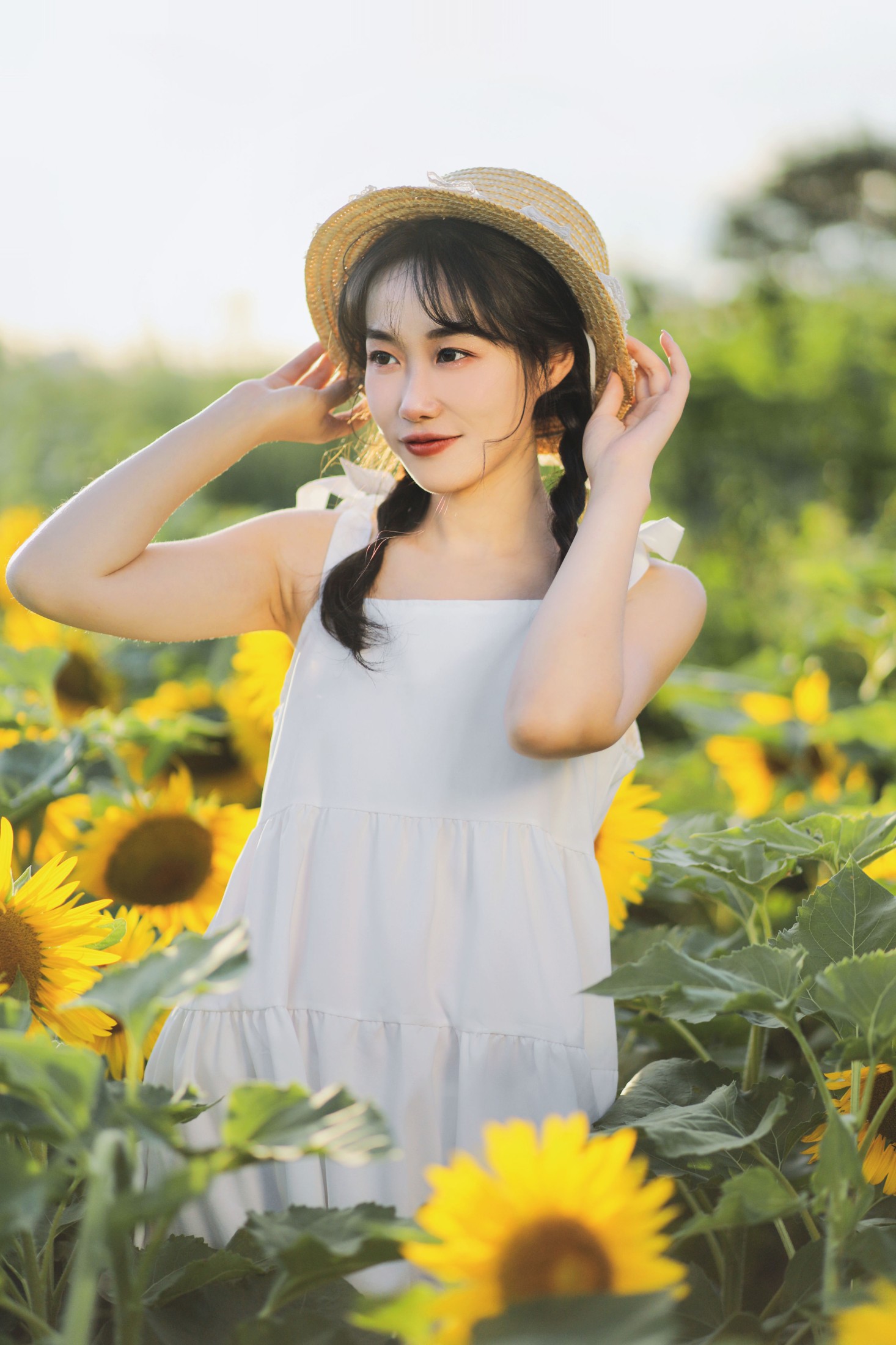 迟白 – 《向阳之花》[36P] 插图5