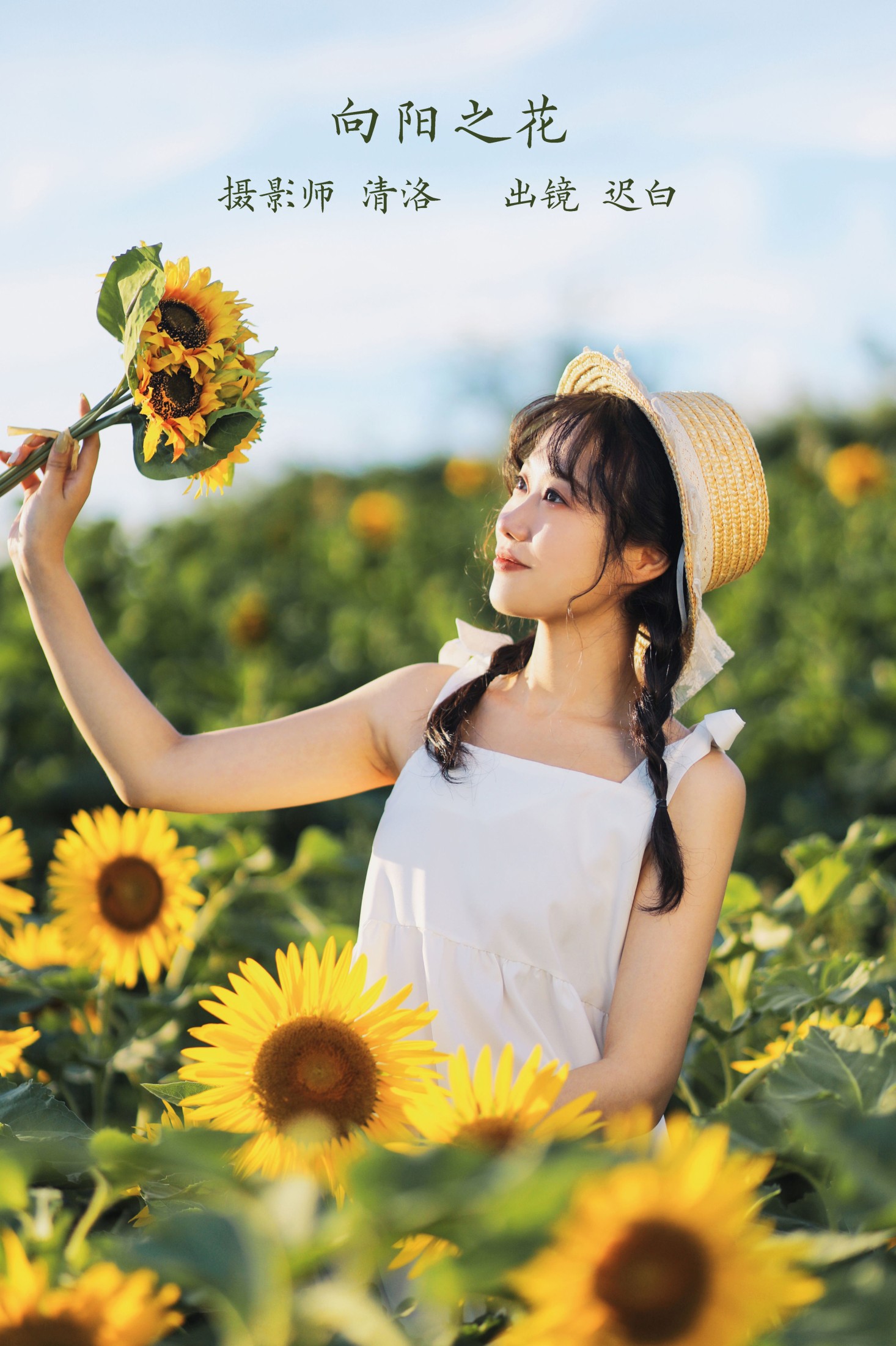 迟白 – 《向阳之花》[36P] 插图1
