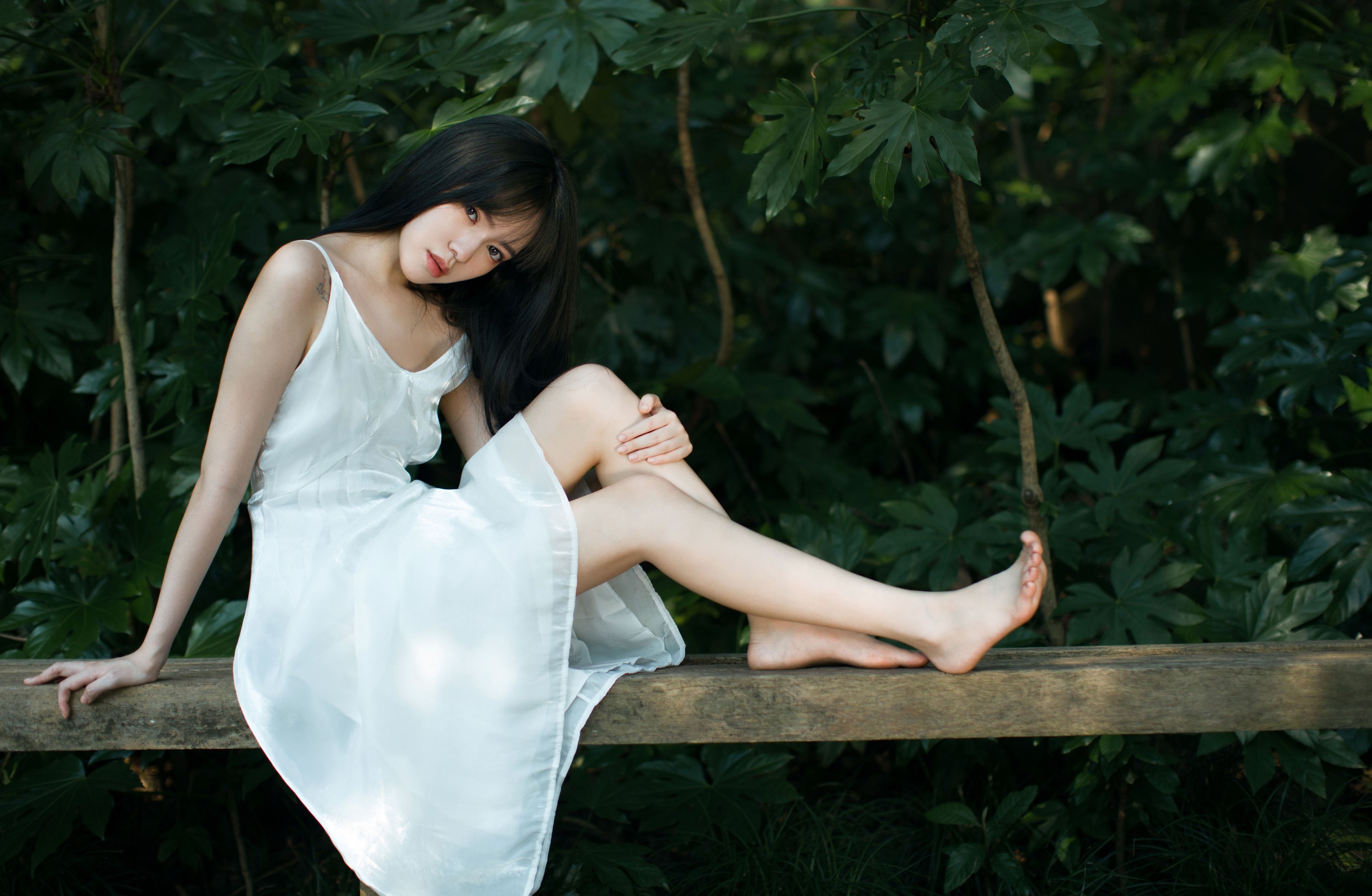 唧唧 – 《绿野仙踪》[23P] 插图4