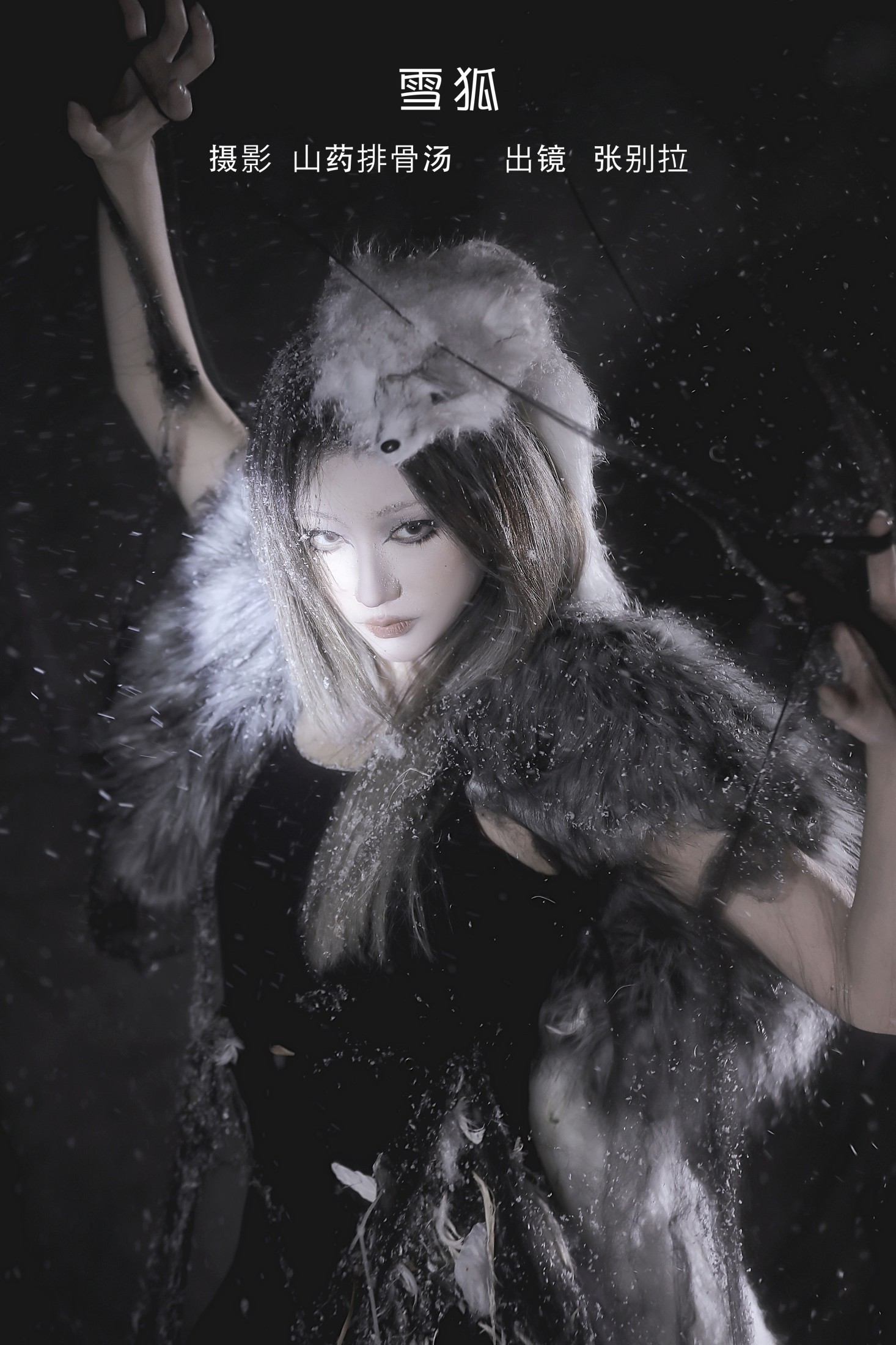 张别拉 – 《雪狐》[21P] 插图1