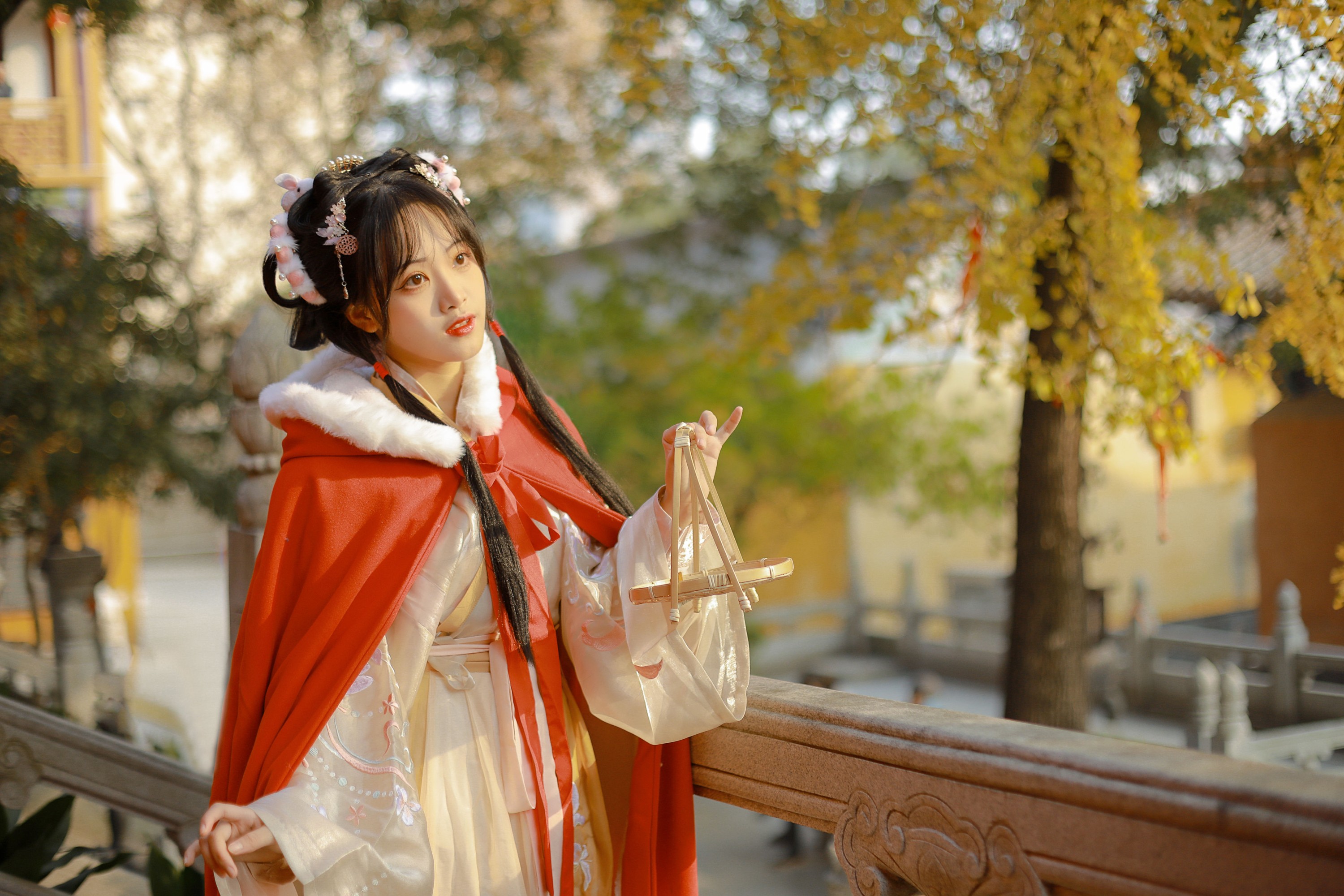 是蝶绪咩 – 《银杏汉服》[22P] 插图3