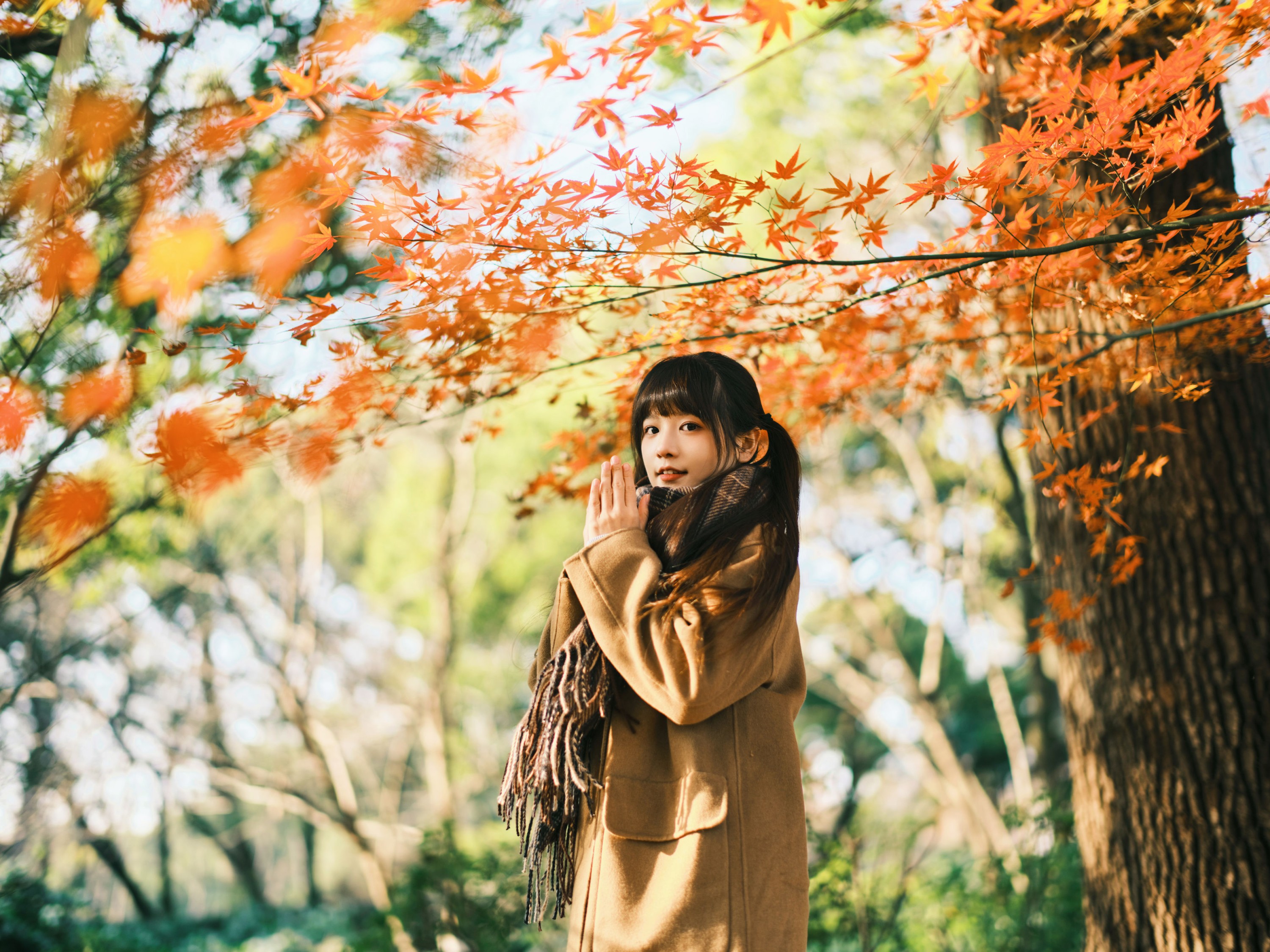 宵宵喵 – 《枫》[34P] 插图3