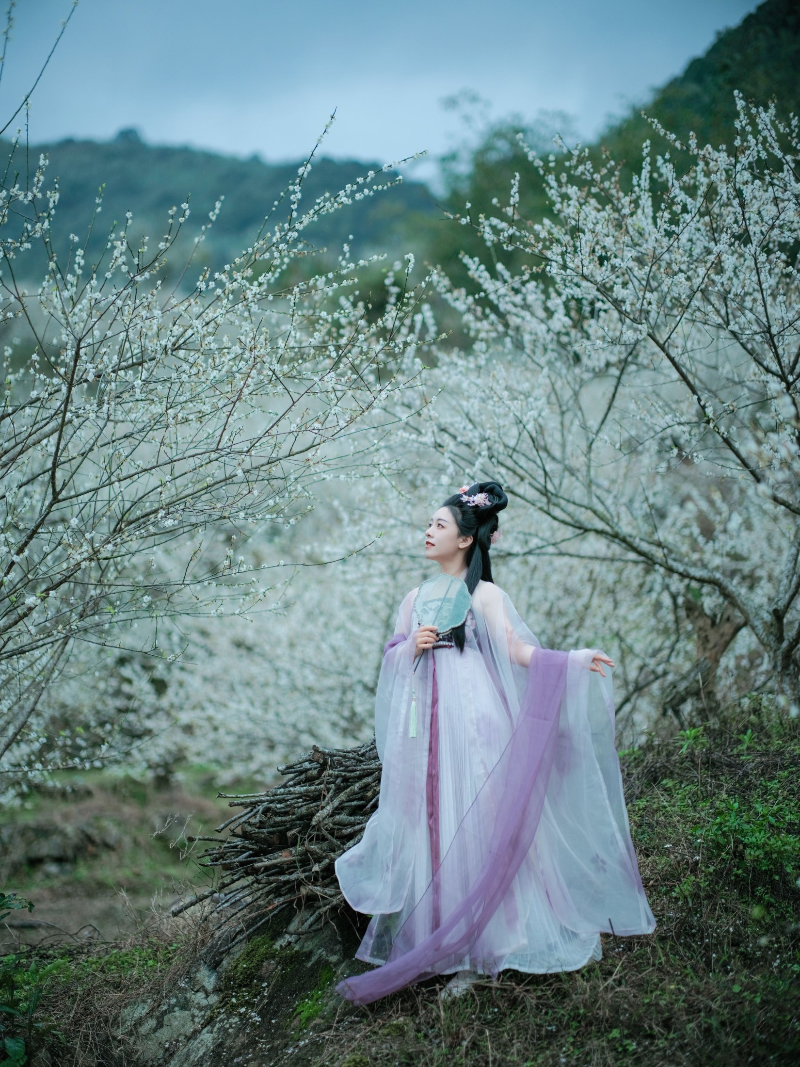 乐嫣 – 《梅花三弄》[27P] 插图3