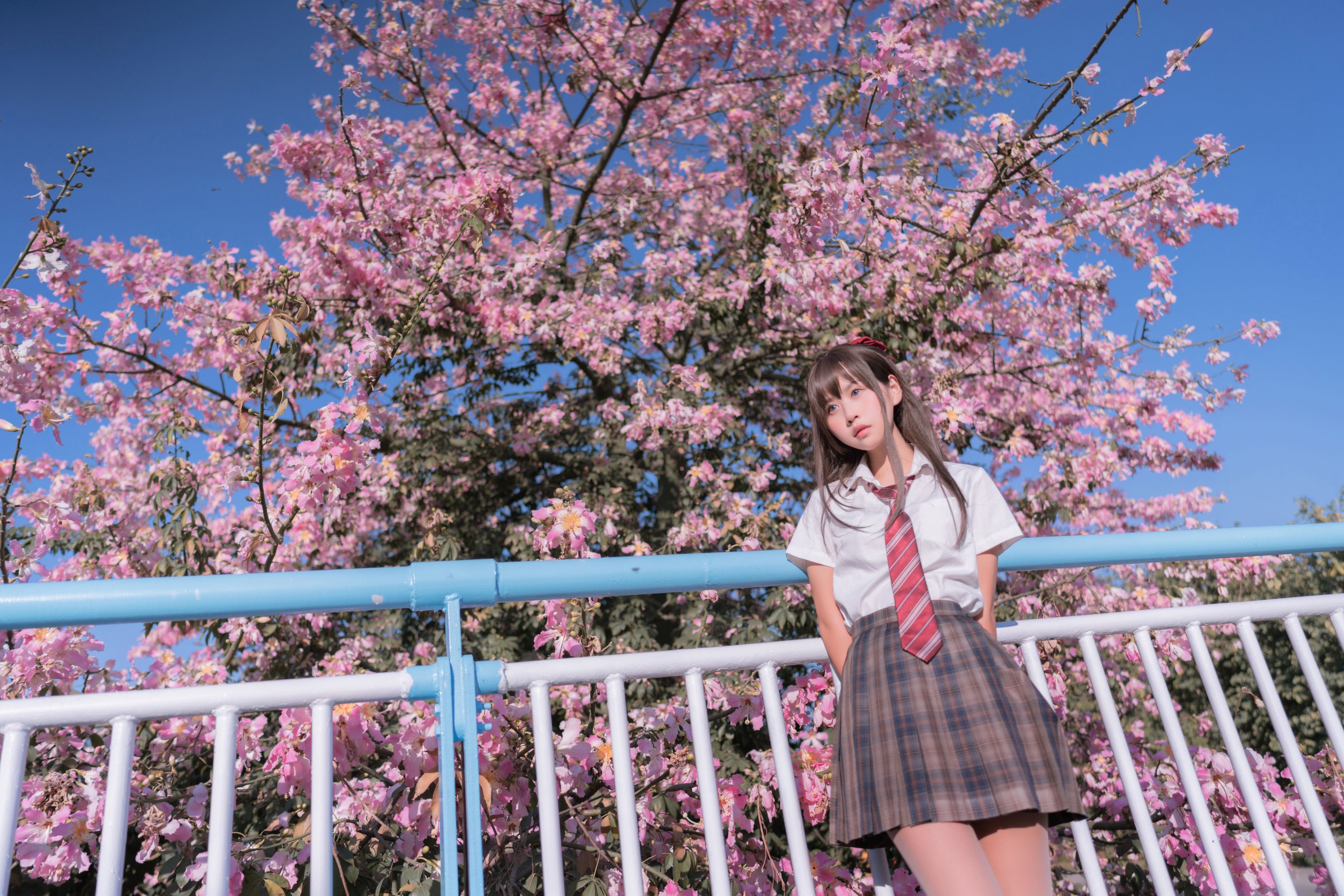 萌芽儿o0 – 《异木棉花》[28P] 插图4