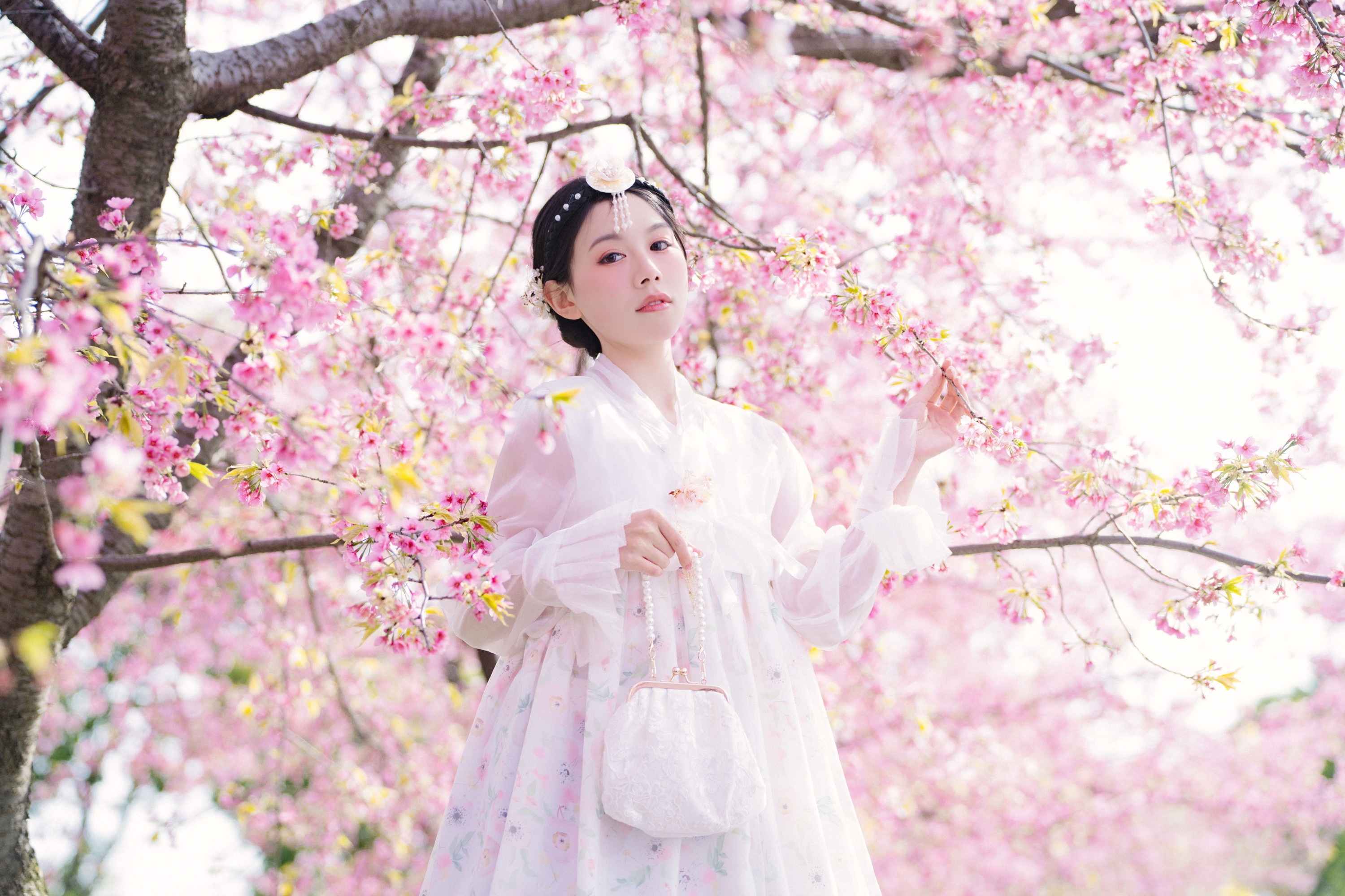 初初 – 《延边公主樱花祭》[22P] 插图5