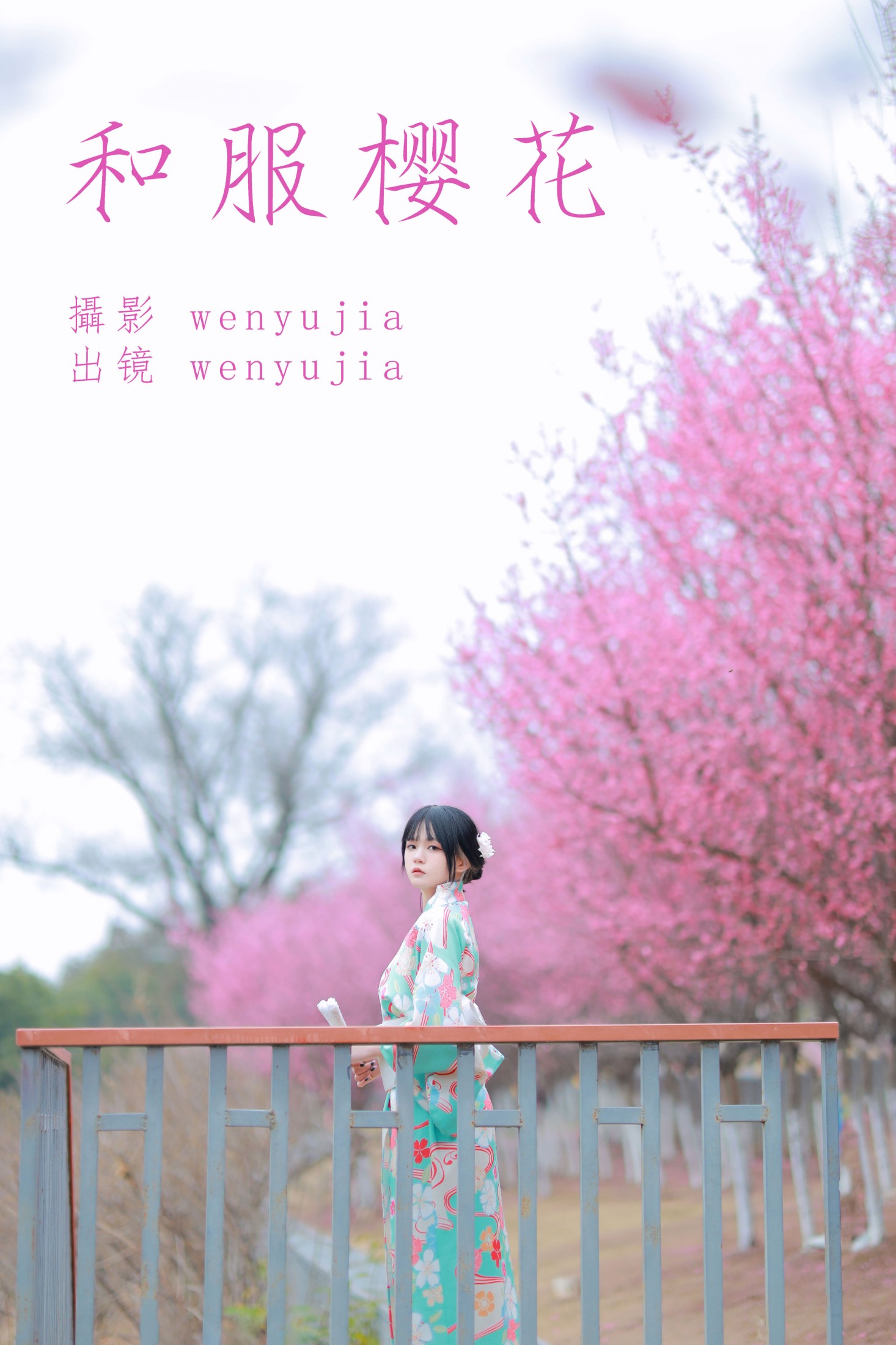 wenyujia – 《和服樱花》[22P] 插图1
