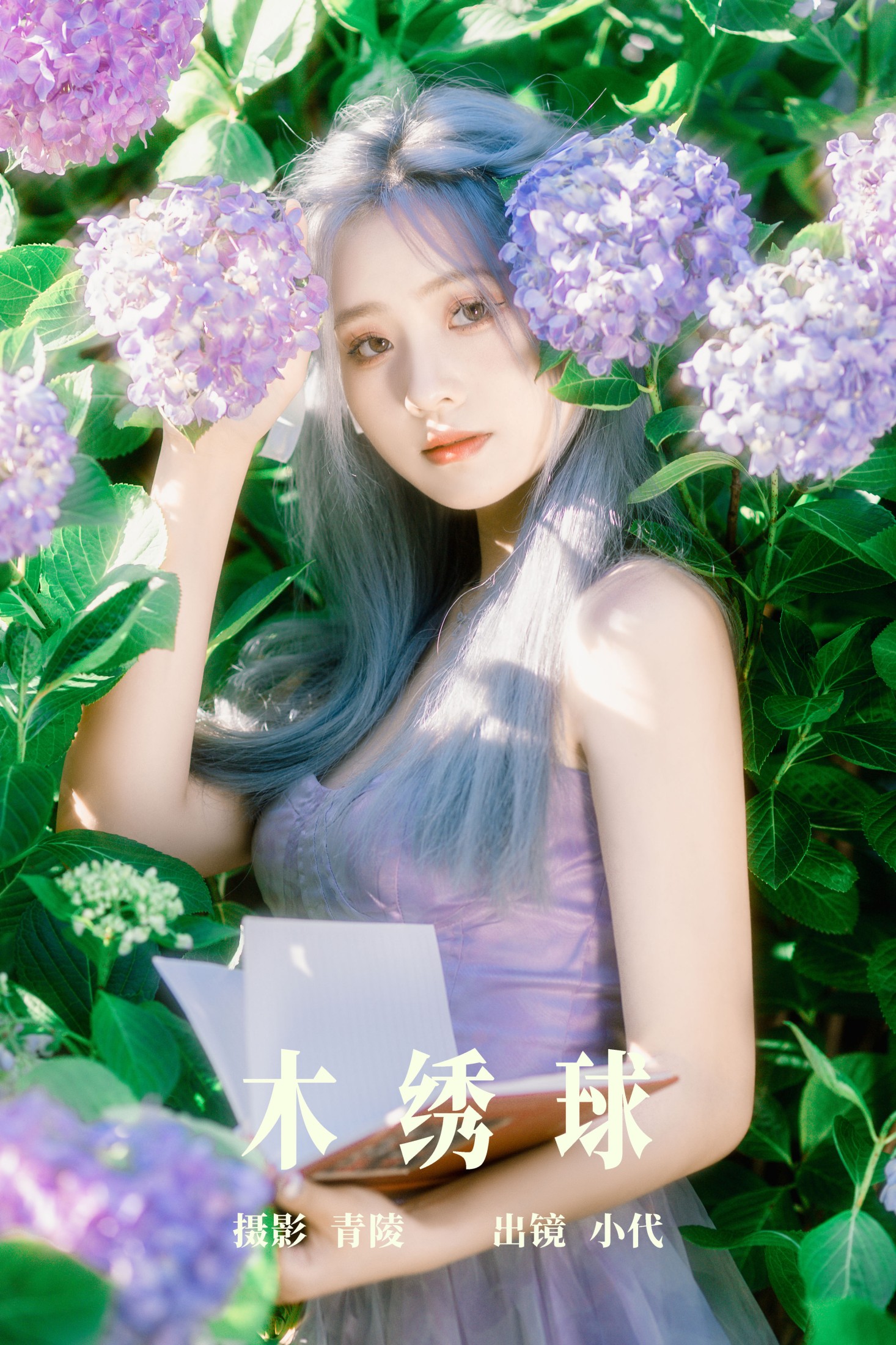 羔丽代 – 《木绣球》[31P] 插图1