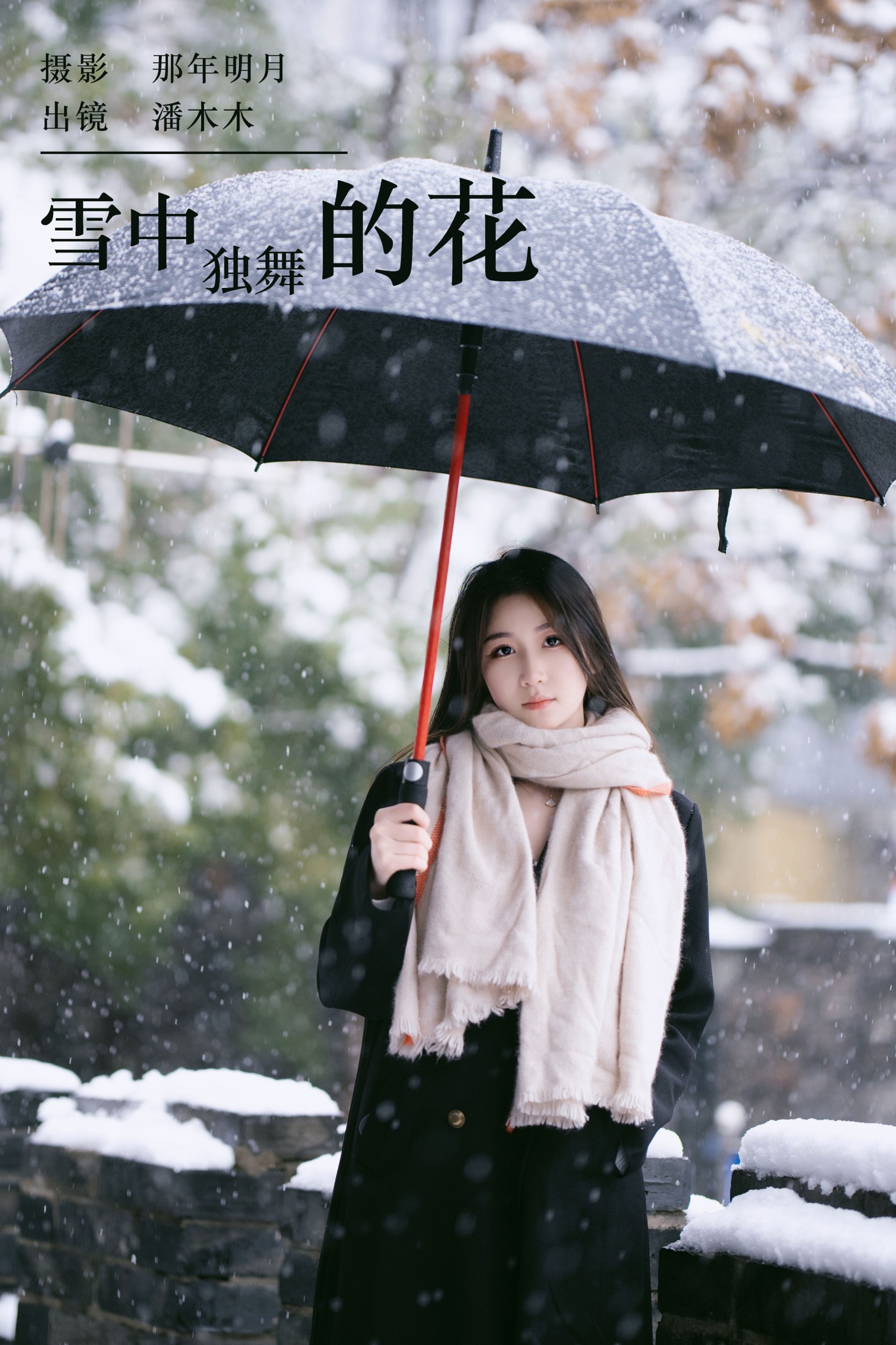 潘木木 – 《雪中独舞的花》[28P] 插图1