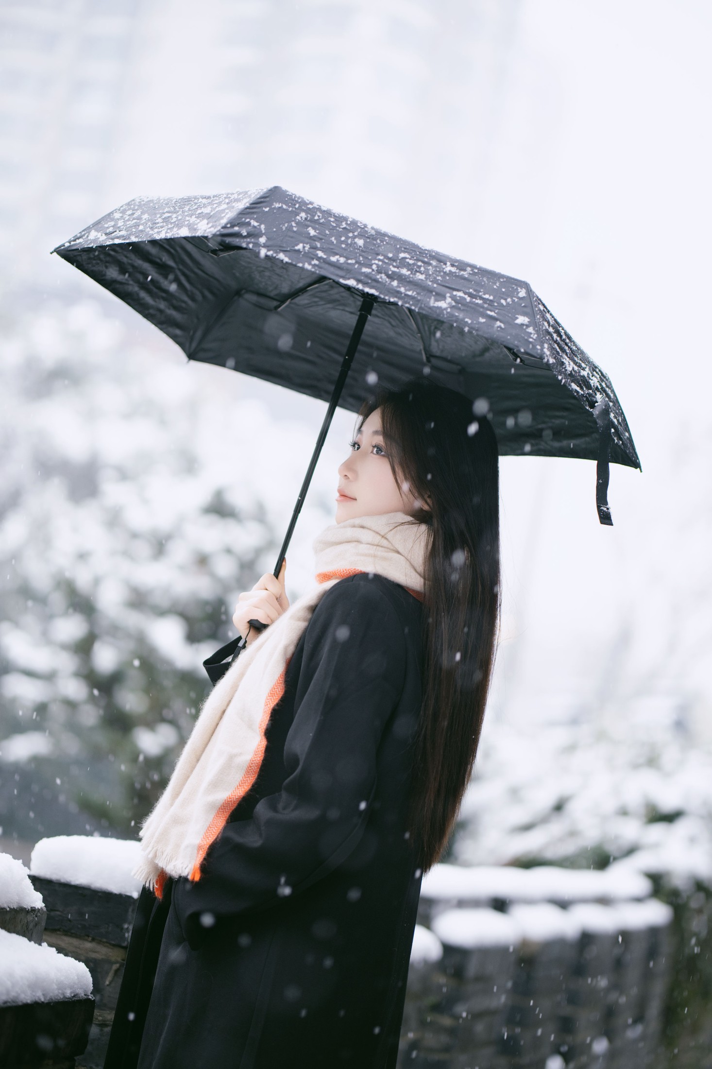 潘木木 – 《雪中独舞的花》[28P] 插图4