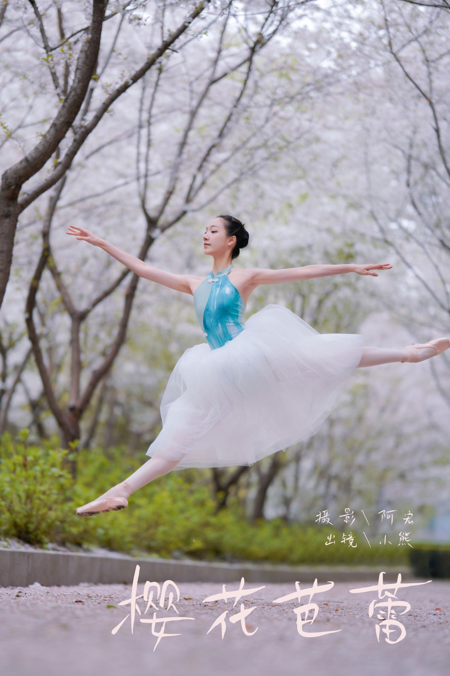 小熊 – 《樱花芭蕾》[25P] 插图1