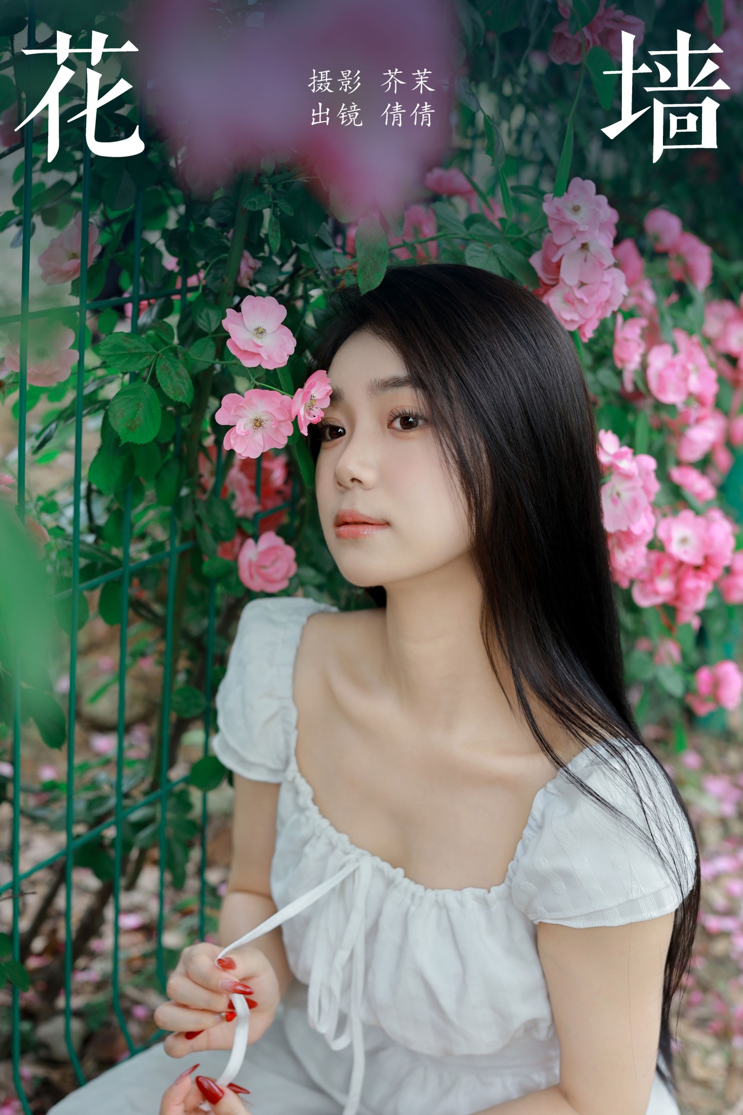 我不刷鸟 – 《花墙》[26P] 插图1