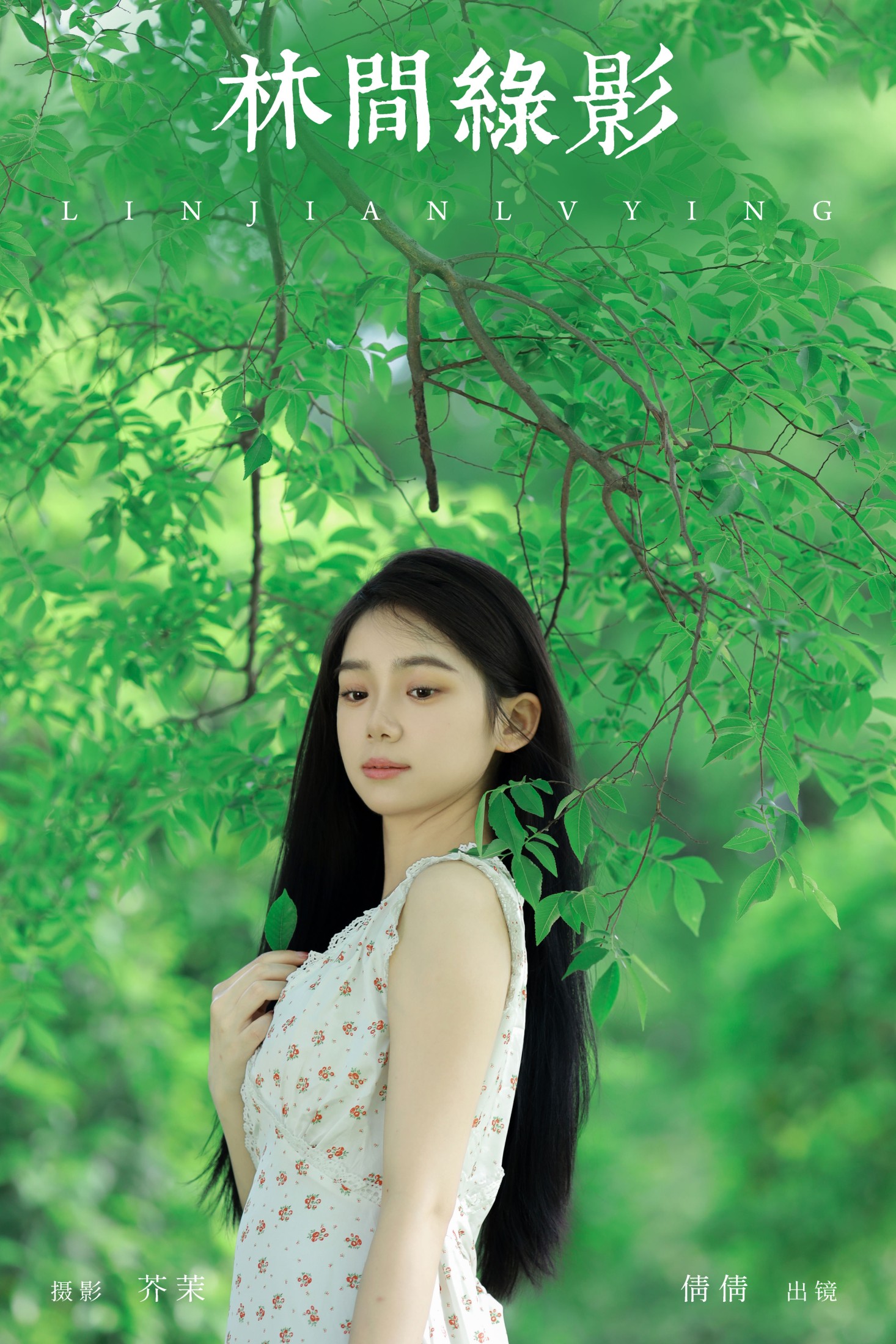 我不刷鸟 – 《林间绿影》[24P] 插图1