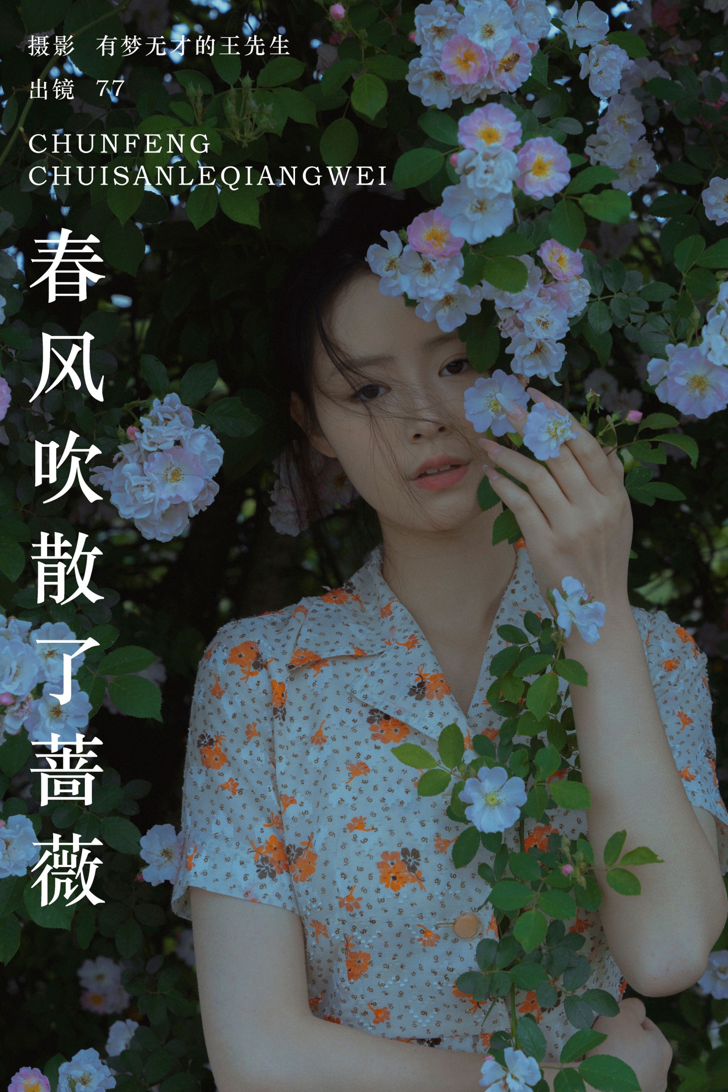 77 – 《春风吹散了蔷薇》[29P] 插图1