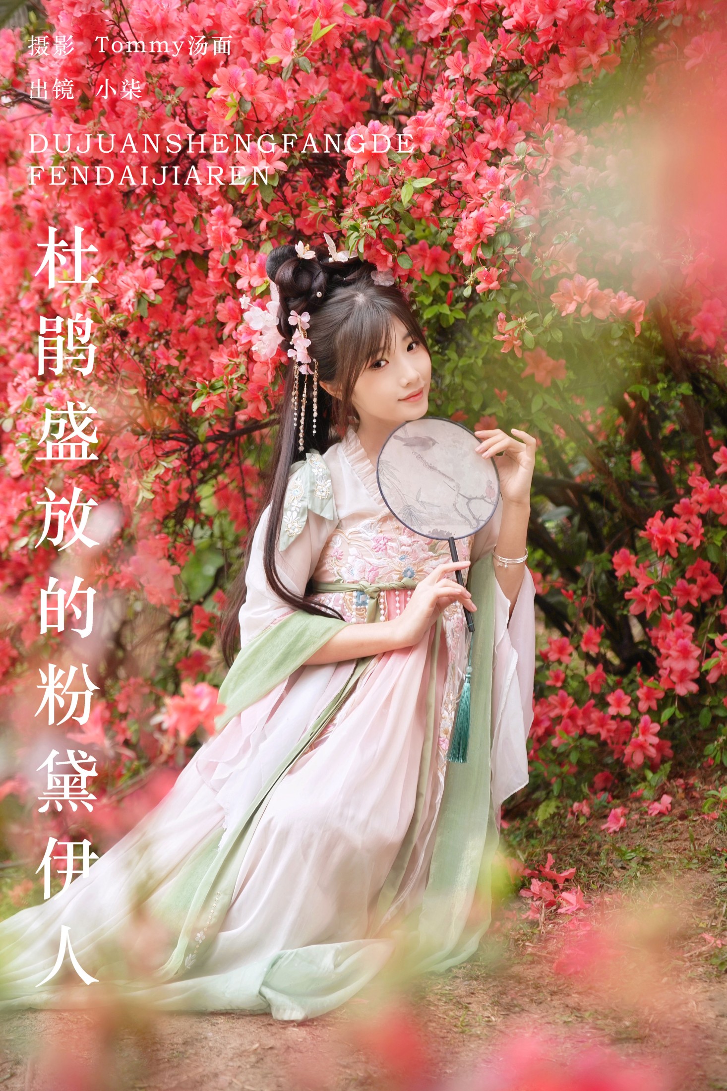 小柒 – 《杜鹃盛放的粉黛伊人》[22P] 插图1
