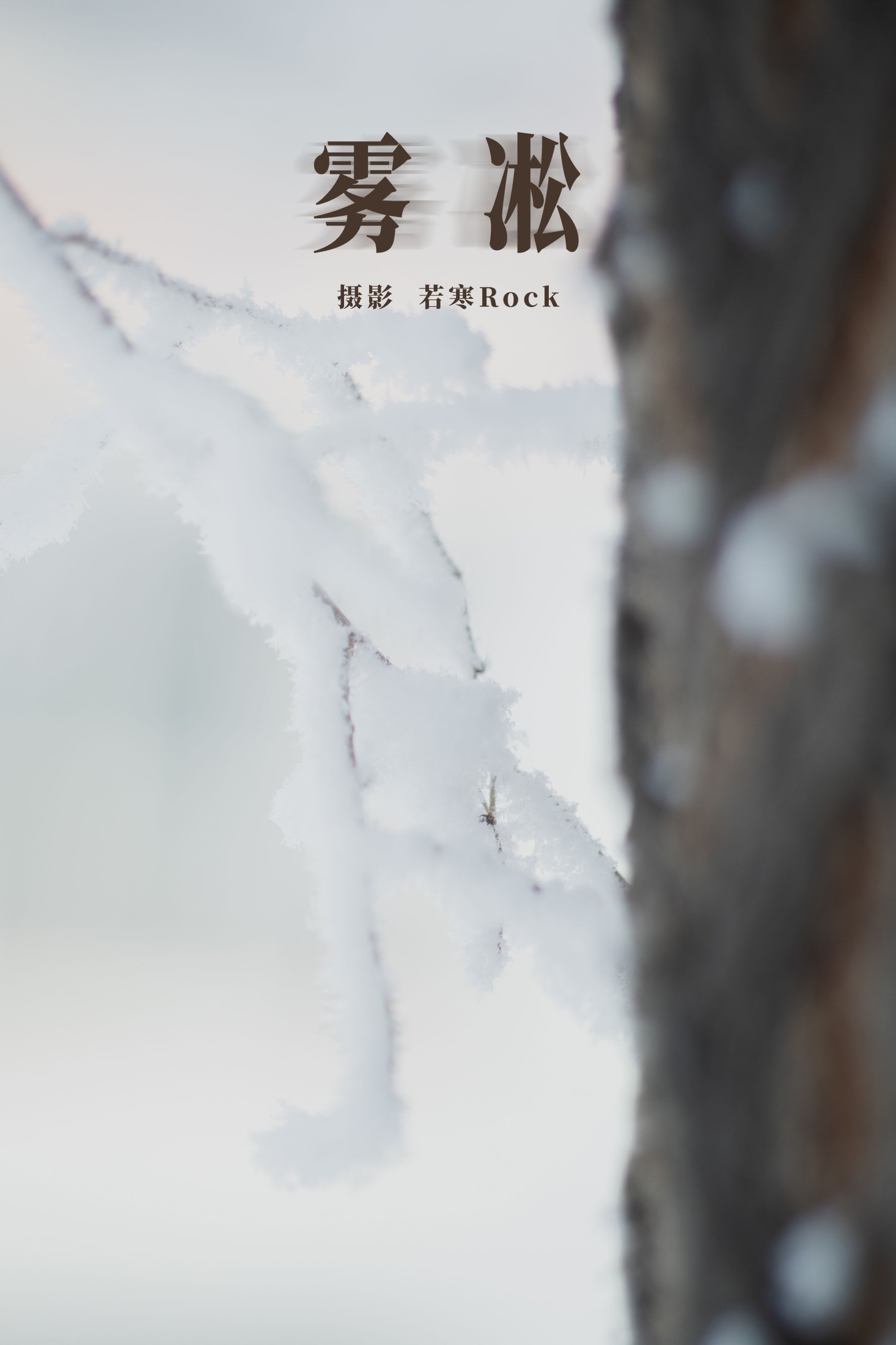  – 《雾凇》[15P] 插图1