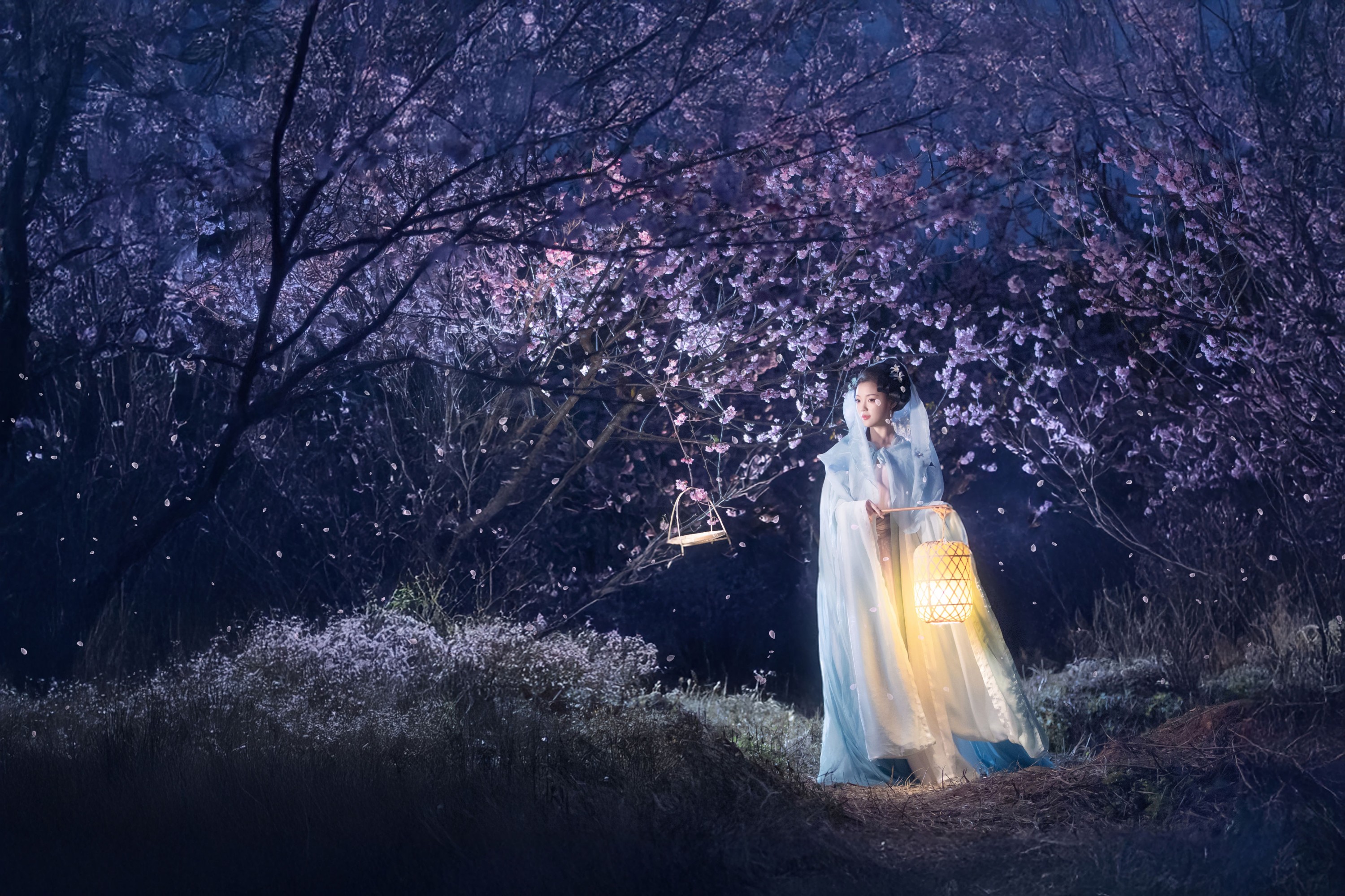 七霓巳猫- – 《梦遣看花人》[34P] 插图1