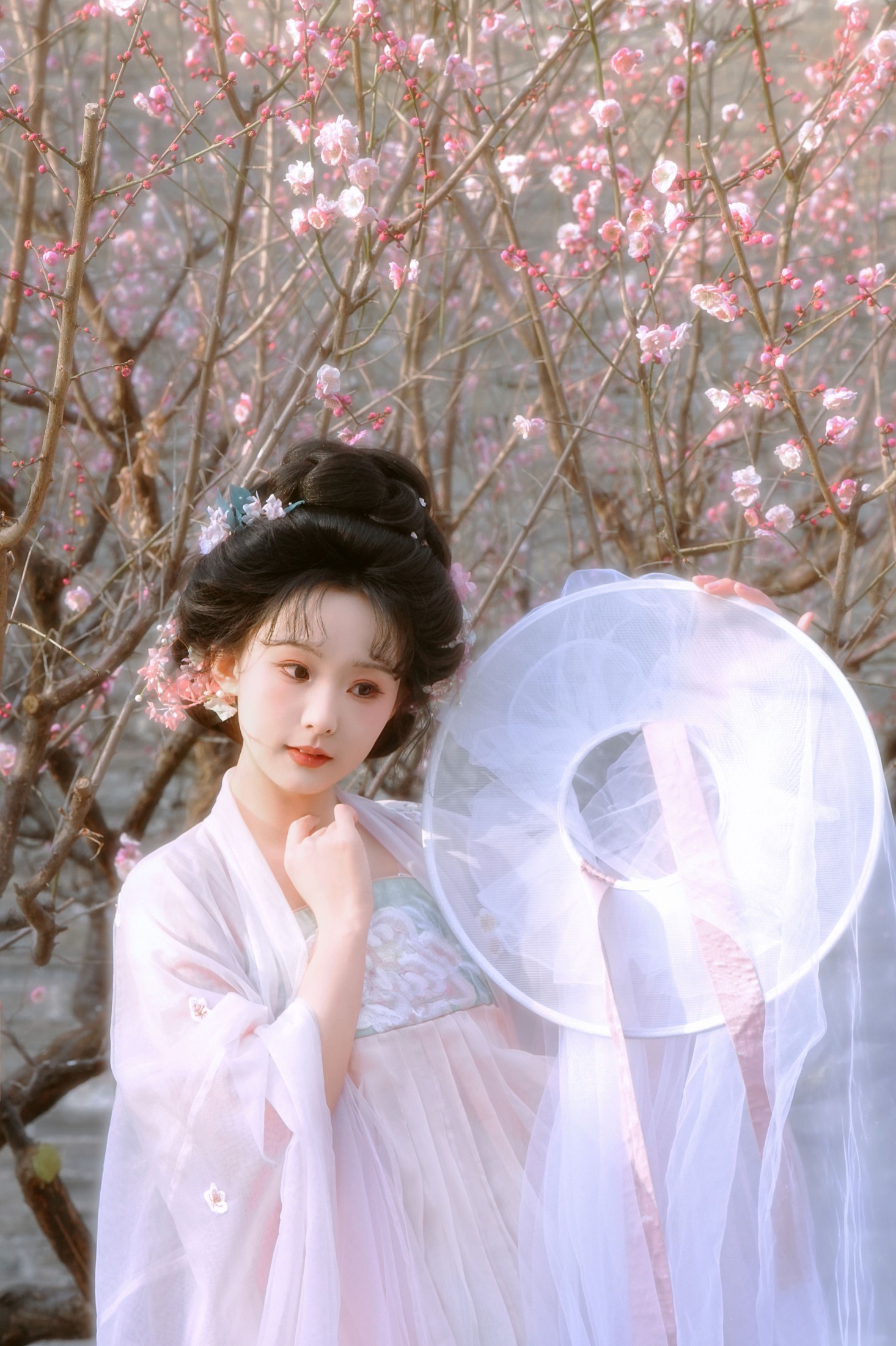 锐锐才不是菜狗 – 《春有约，花不误》[13P] 插图1
