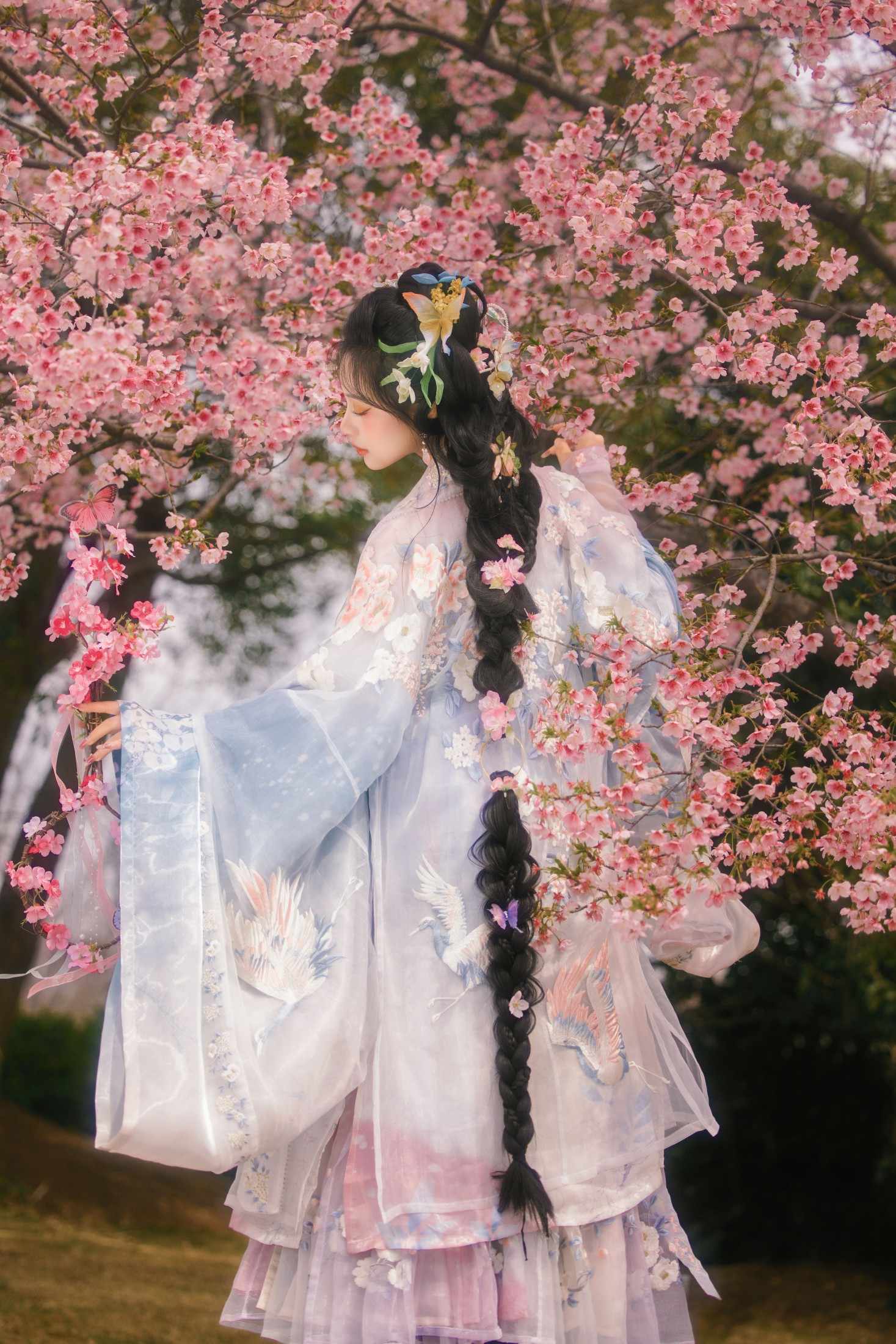 衔鹿 – 《樱花雨》[18P] 插图1