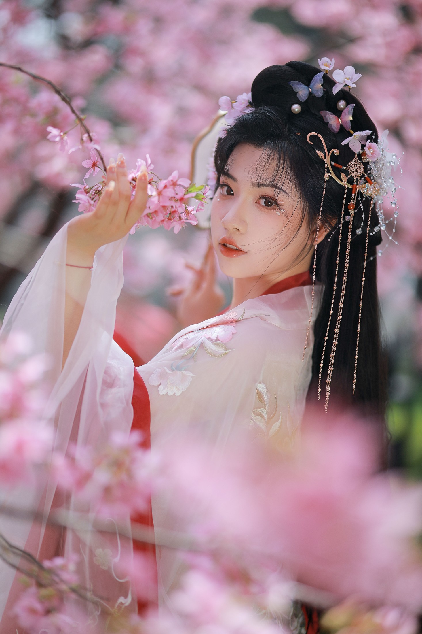 阿冥 – 《樱花仙子》[15P] 插图1