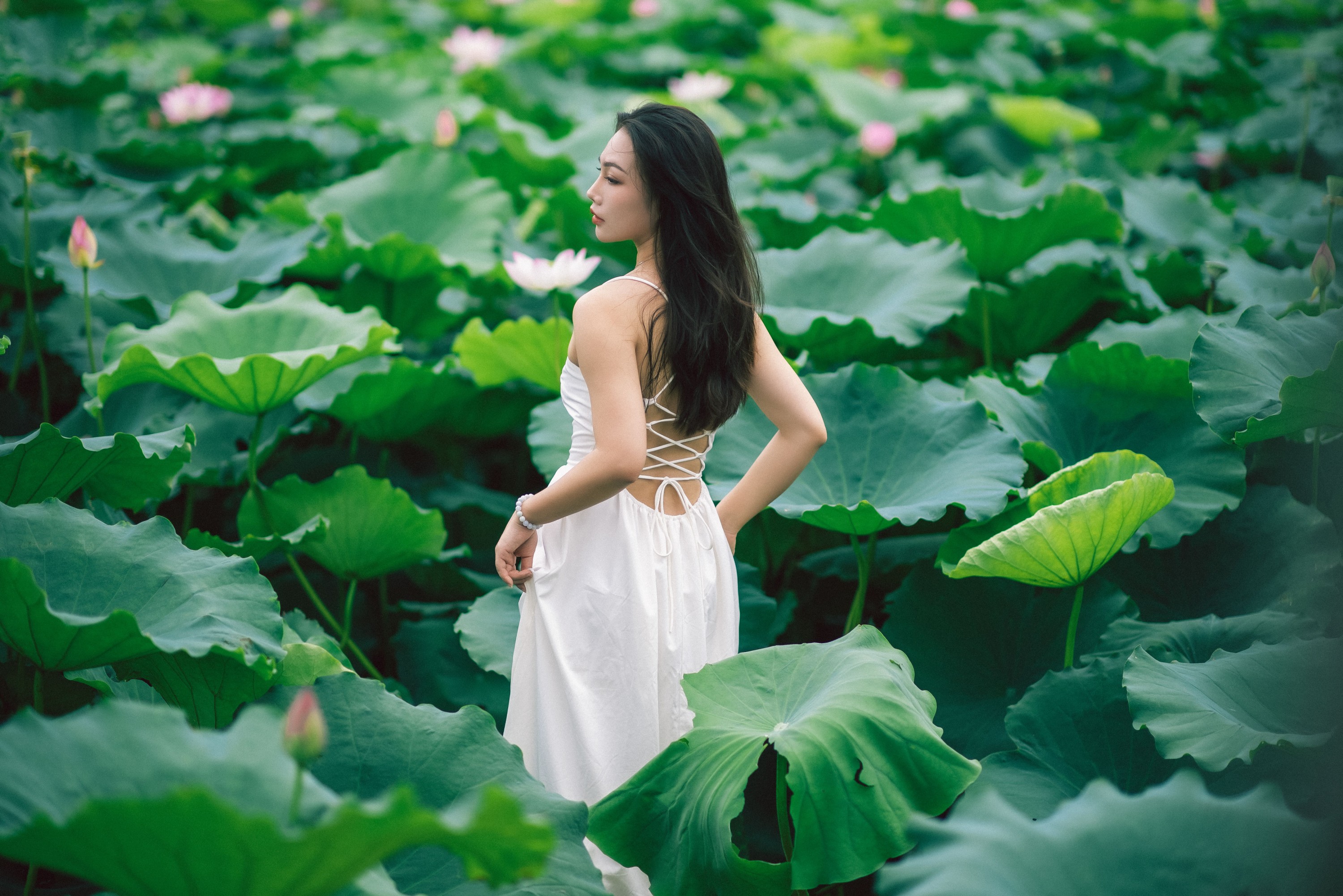 橘子 – 《雨荷》[26P] 插图1