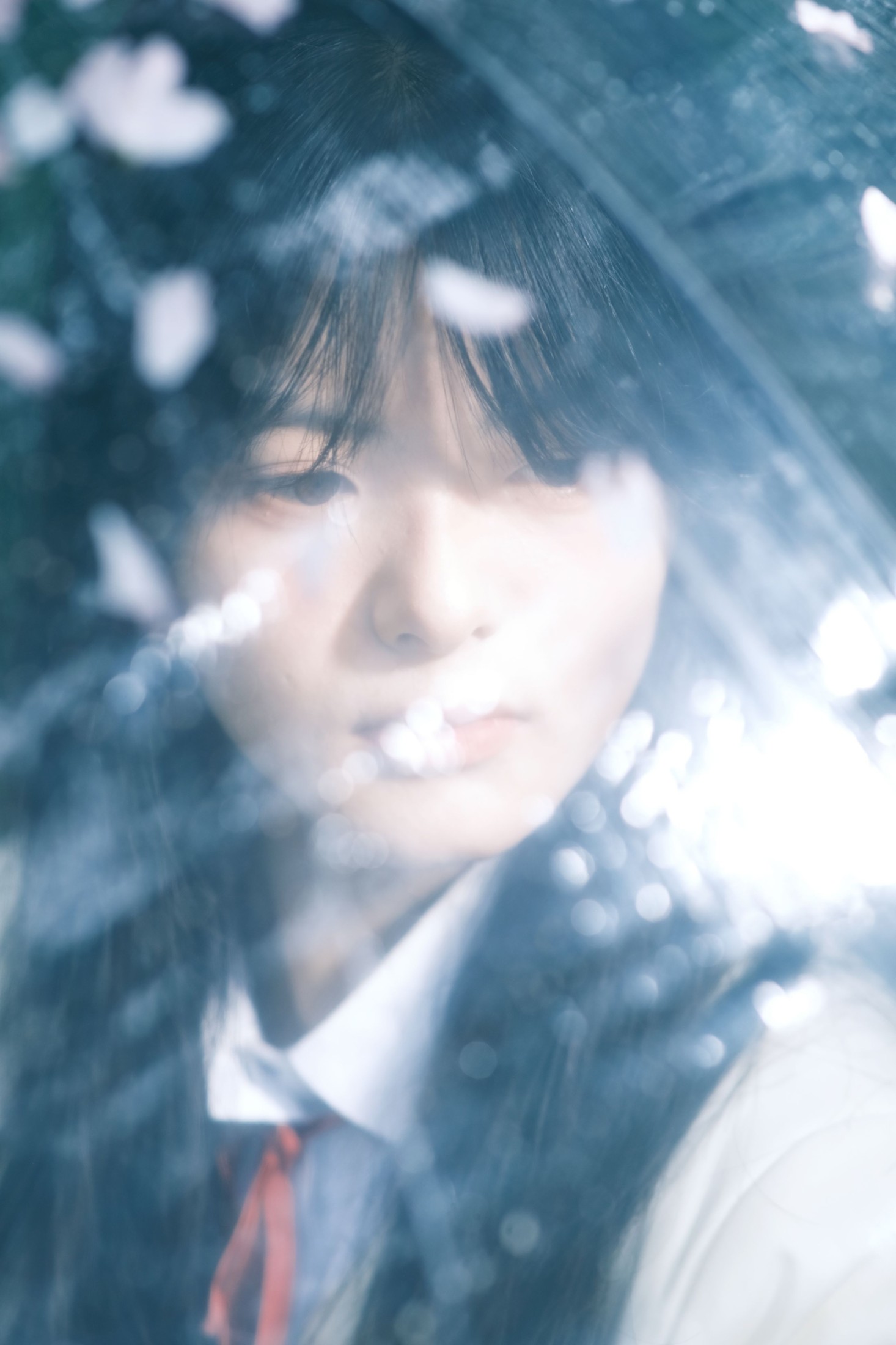 小情 – 《你的春天》[23P] 插图1