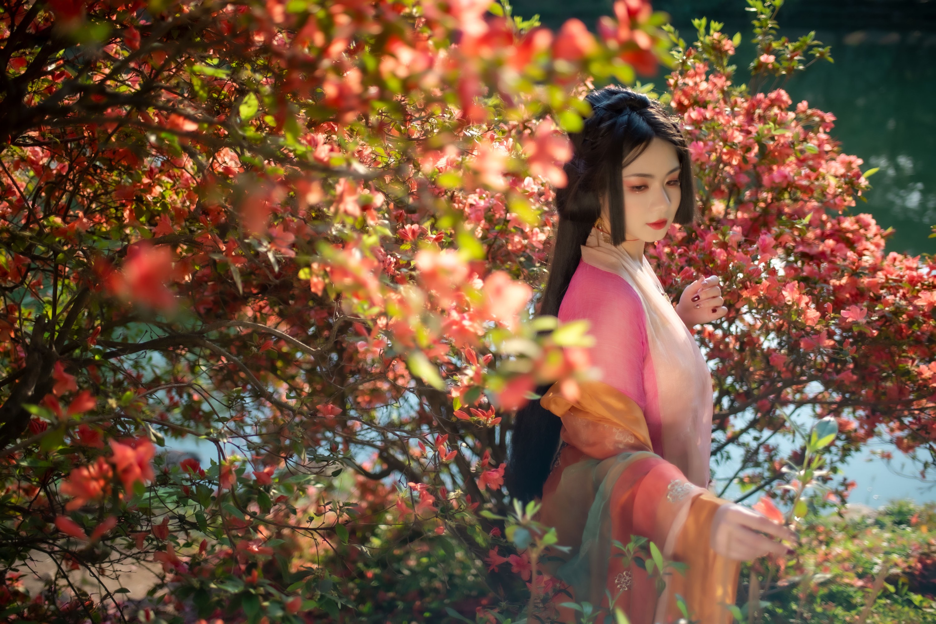 零基础的米团 – 《锦瑟》[24P] 插图1