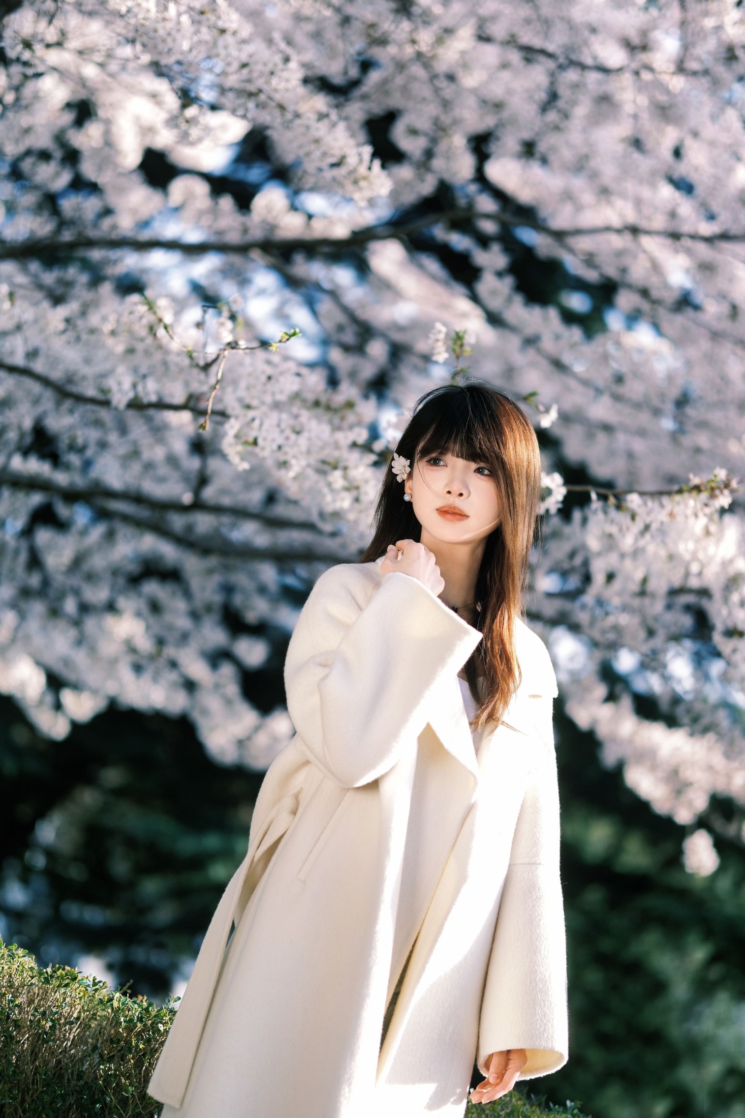 瑶瑶 – 《春樱》[18P] 插图1