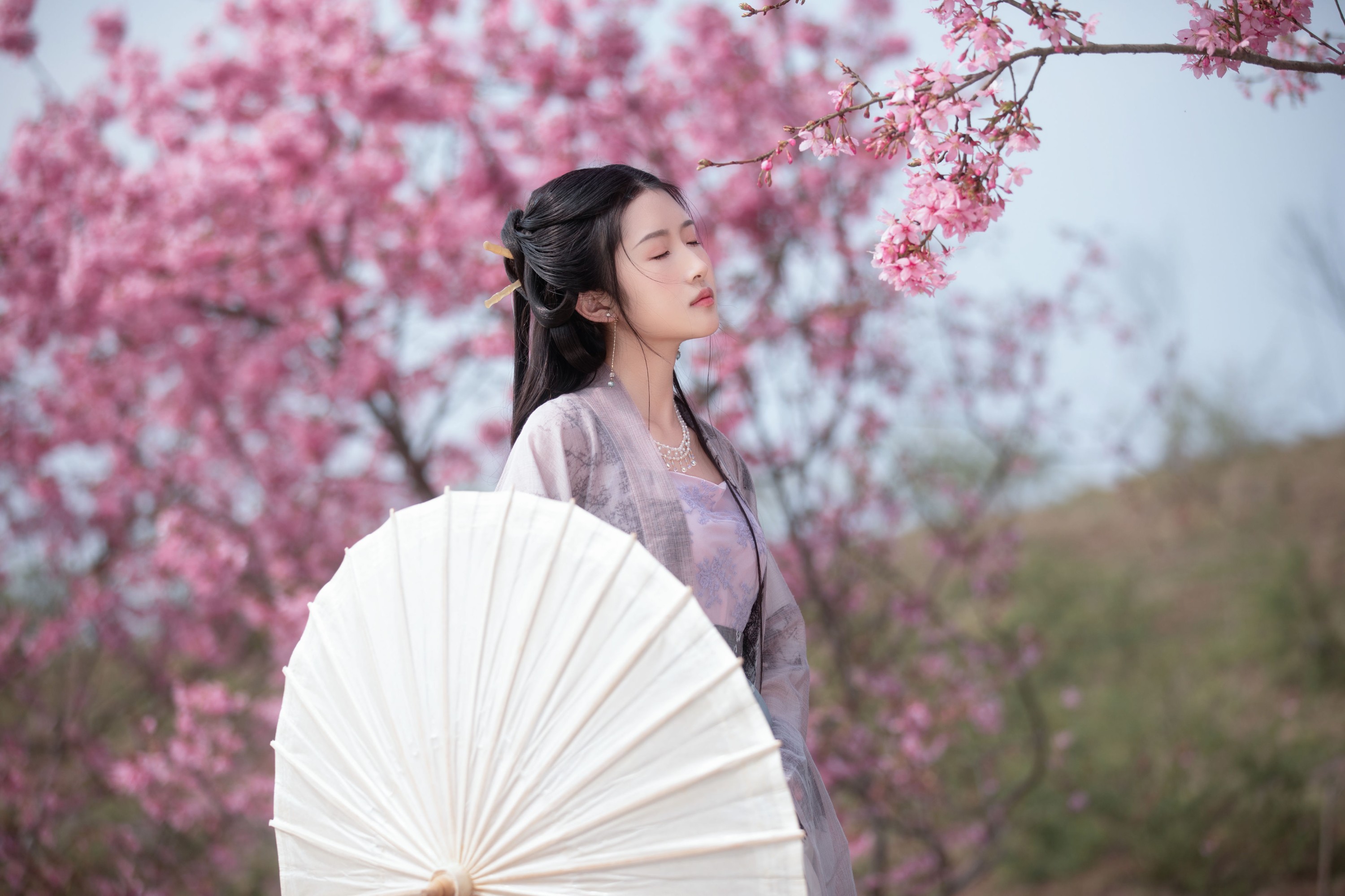 秋雨 – 《春樱》[16P] 插图1