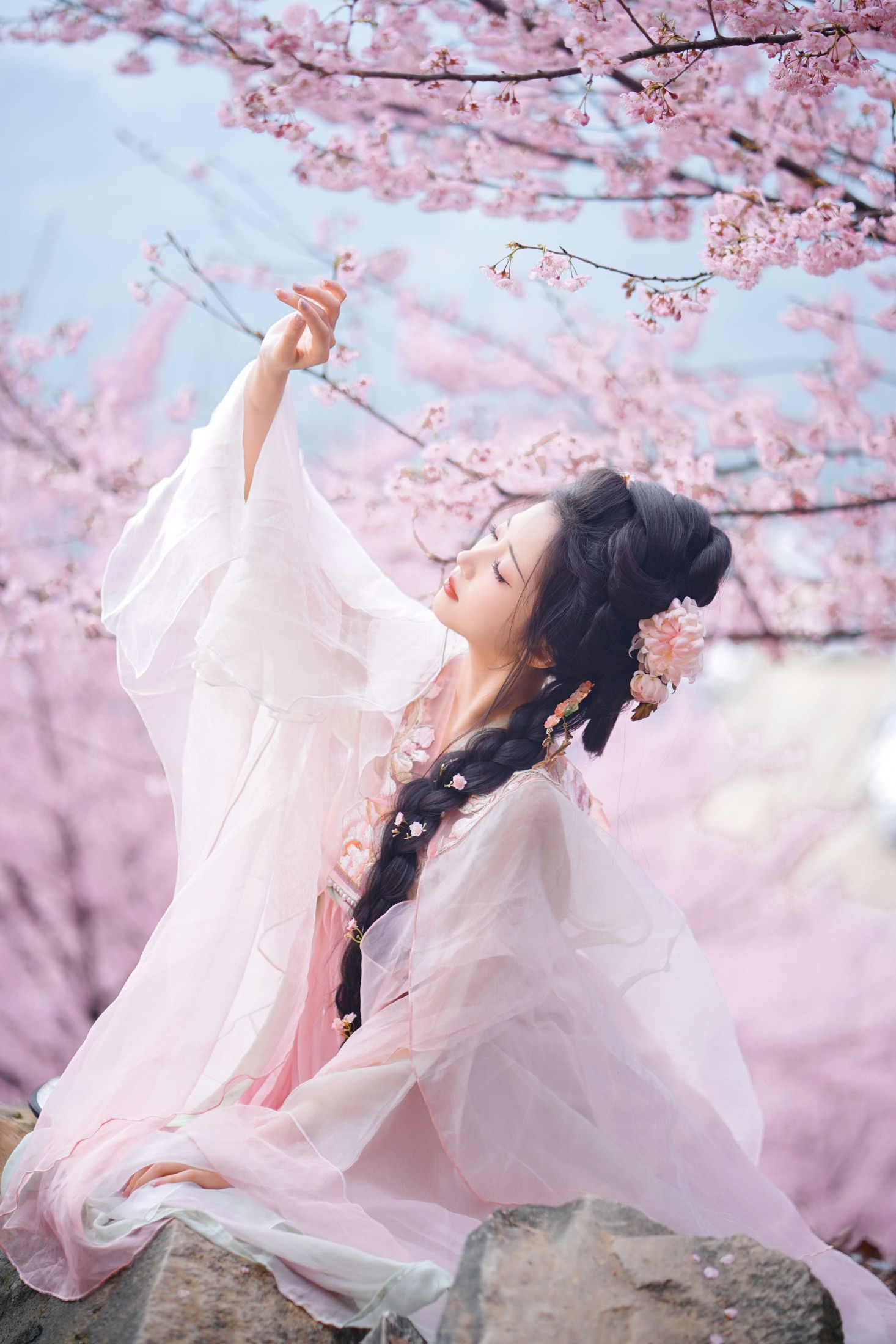 兔牙w – 《春日樱》[19P] 插图1