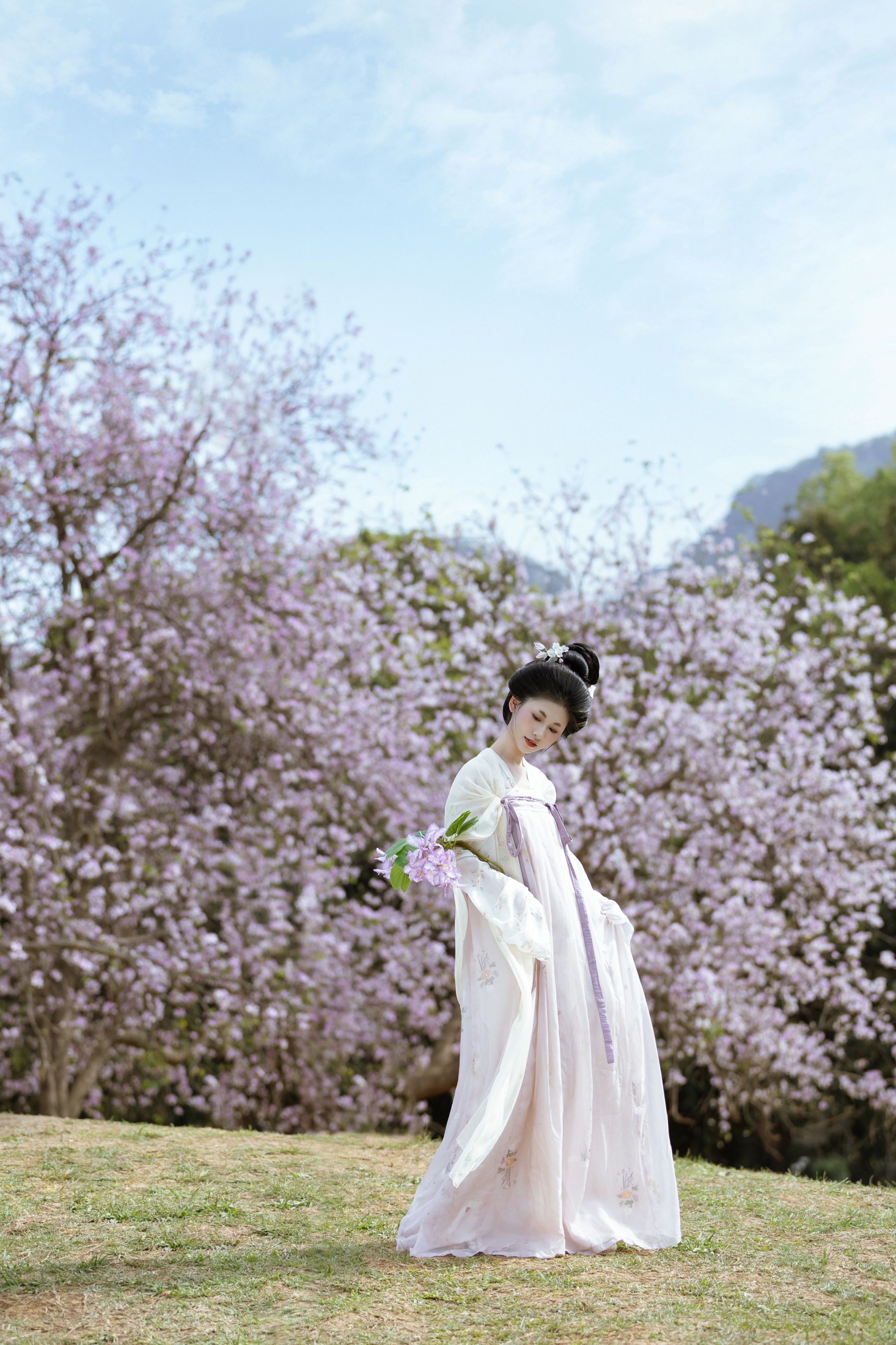 小y今天也很开心 – 《咏紫荆》[19P] 插图1