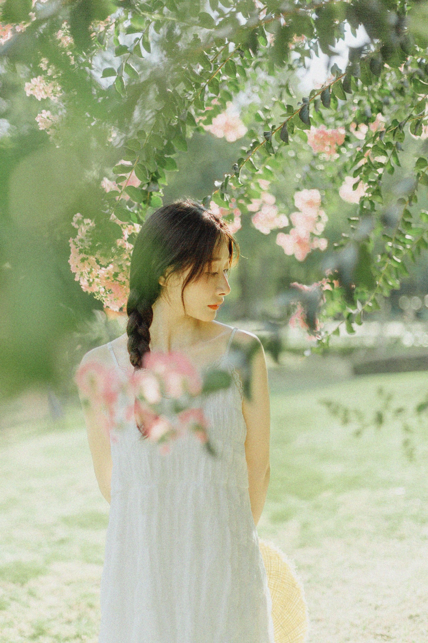 十二* – 《紫藤花开》[48P] 插图1