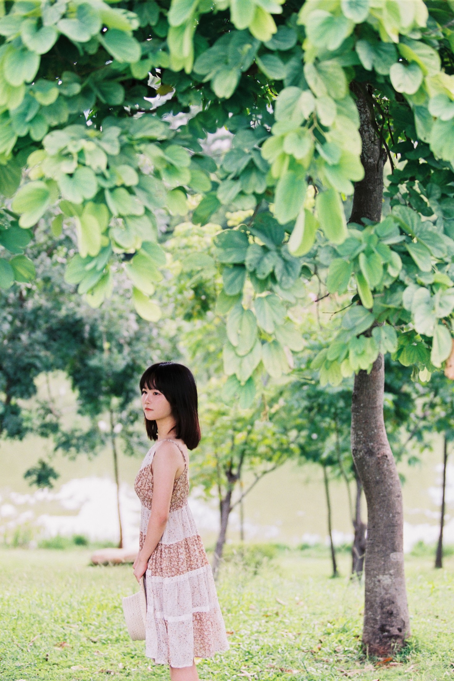 四月岛雯 – 《夏天的草地》[30P] 插图1